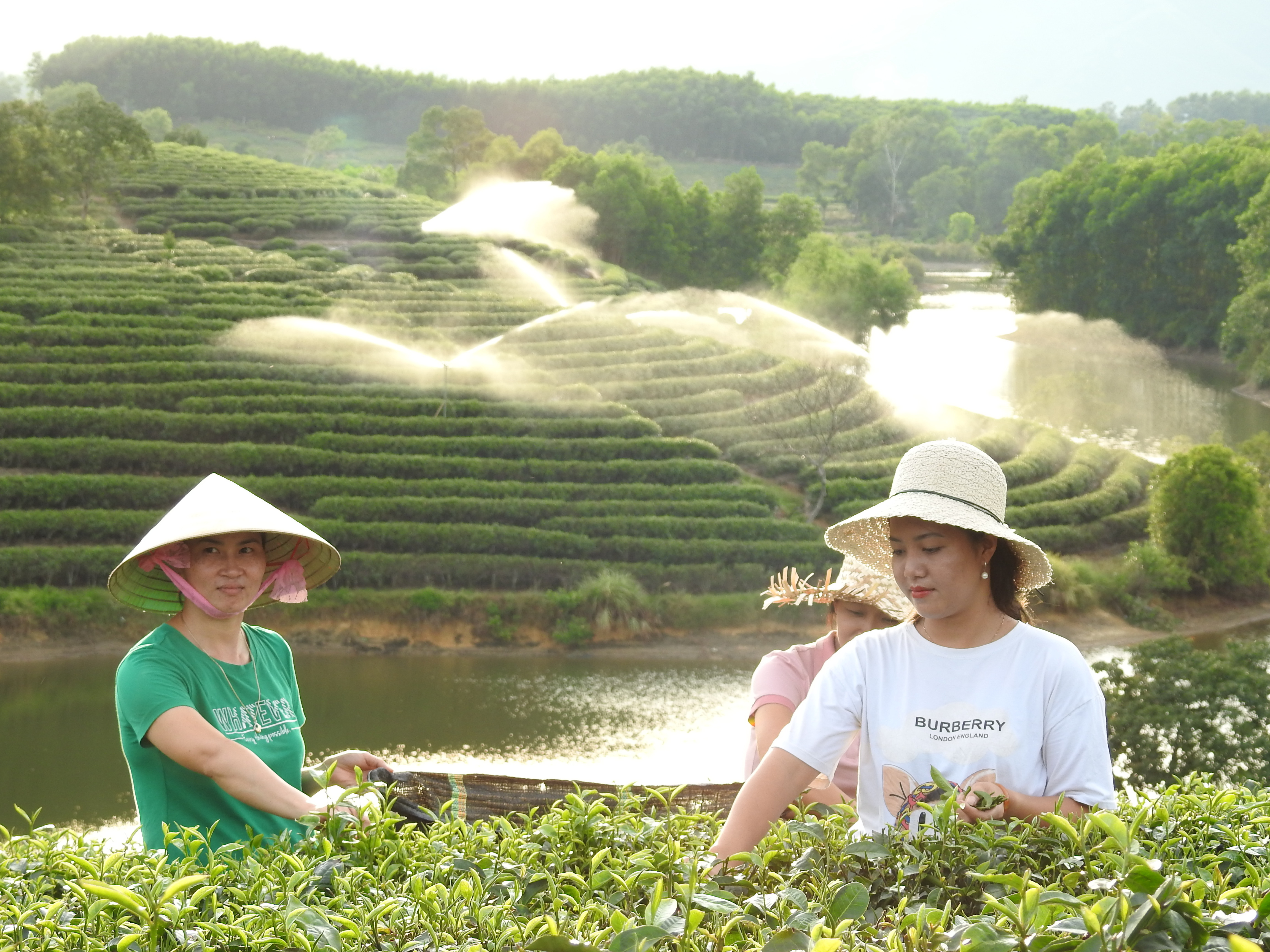 Du lịch trải nghiệm sản phẩm nông nghiệp nông thôn mới đang là xu hướng hút khách ở huyện Thanh Chương. Ảnh: Huy thư