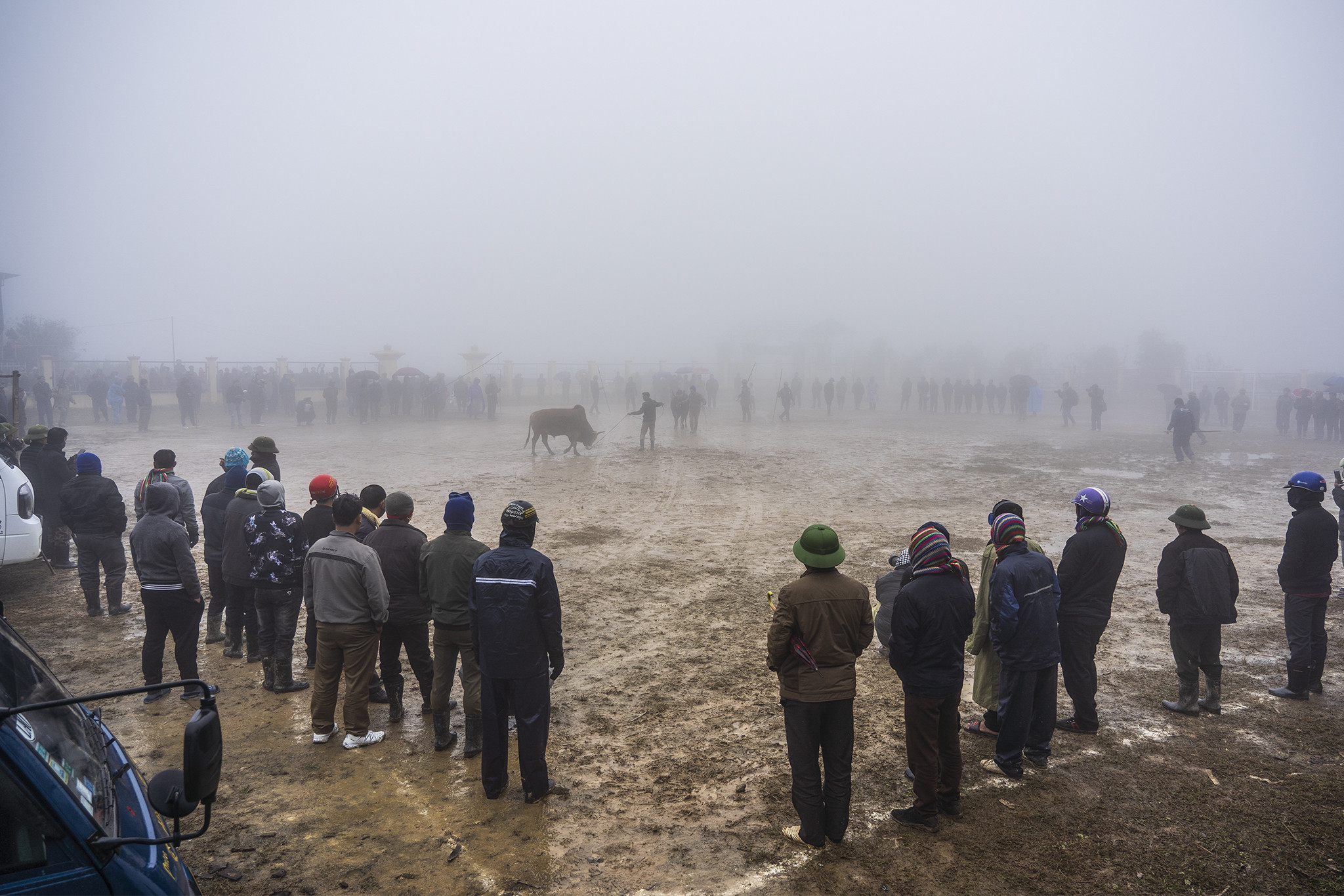Bãi đất rộng trở thành nơi chọi bò thu hút người dân và du khách thưởng lãm. Ảnh Hồ Đình Chiến