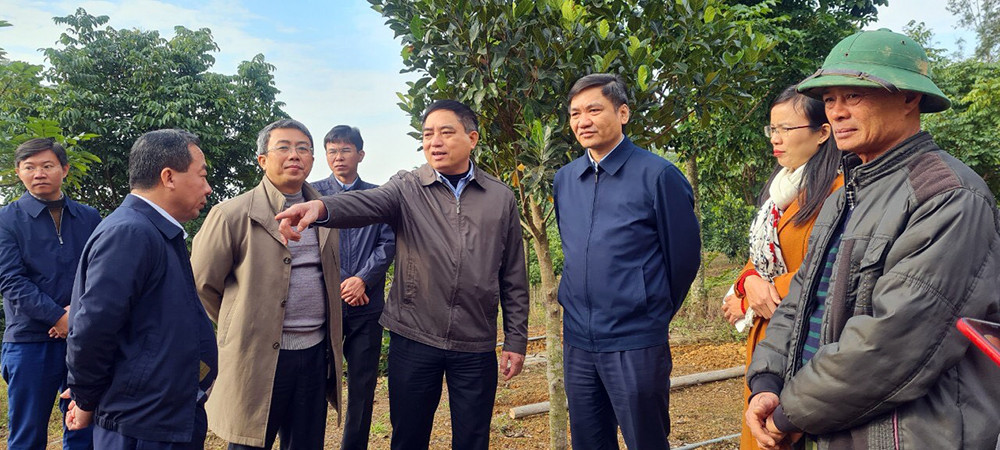 Kiểm tra mô hình phát triển cây ăn quả kết hợp du lịch sinh thái tại Nam Đàn. Ảnh: Phú Hương