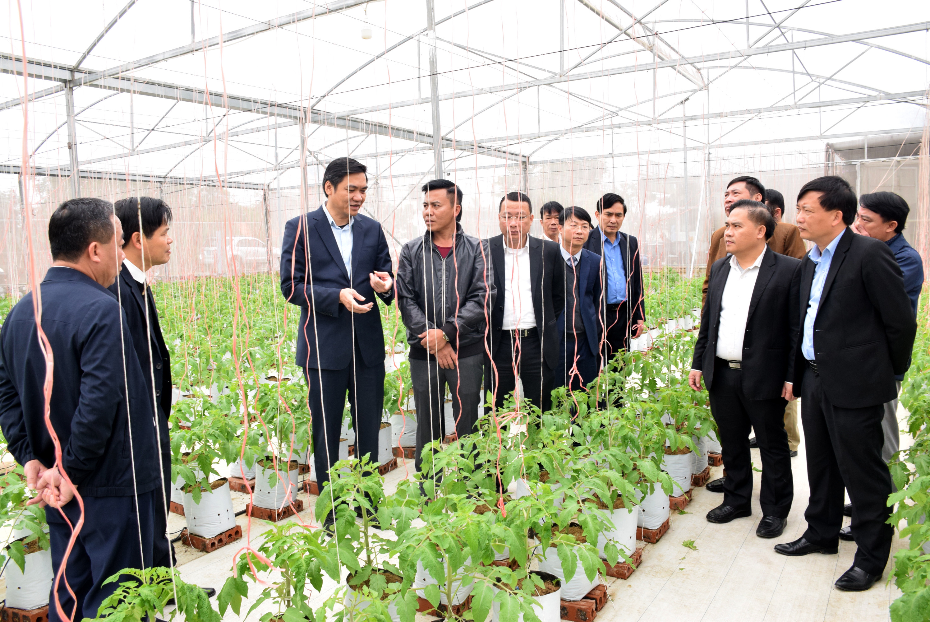 Đoàn tham quan mô hình sản xuất nông nghiệp trong nhà màng trên địa bàn xã Khánh Hợp. Ảnh: Xuân Hoàng
