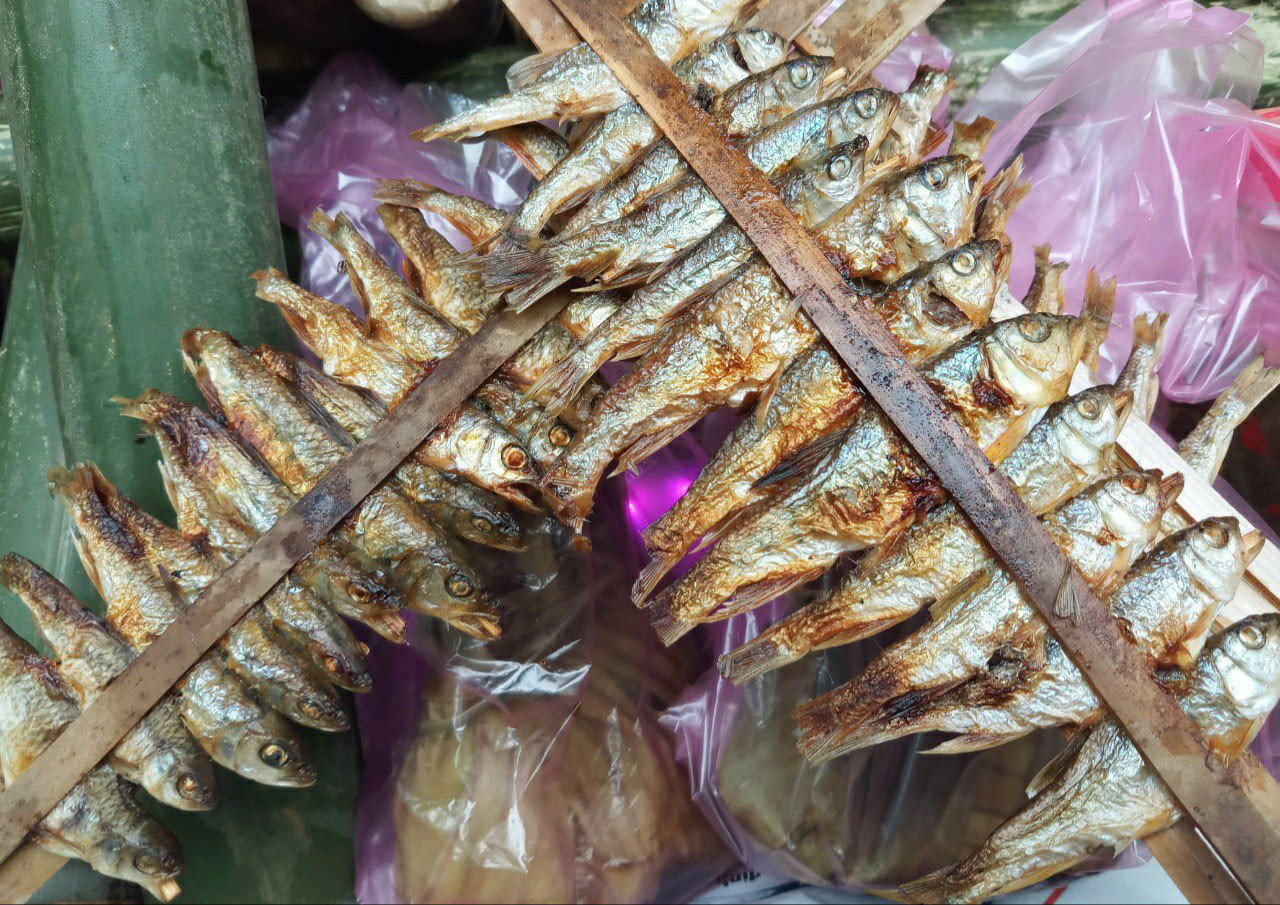 4. Đặc biệt, những loại cá khe suối đặc sản như cá mát nướng cũng được bày bán với giá rất “mềm”, chỉ 250 nghìn/kg. Trong khi đó, trên thị trường, loại cá này có thể lên tới 400 nghìn/kg. Ảnh: Đào Thọ