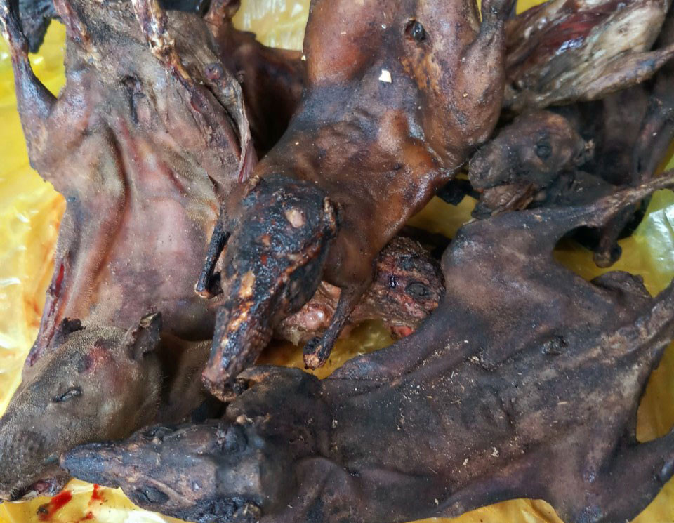 Chuột rừng phơi bếp, một món ăn ưa thích của đồng bào vùng cao trong dịp Tết được tiêu thụ rất nhanh. Ảnh: Đào Thọ