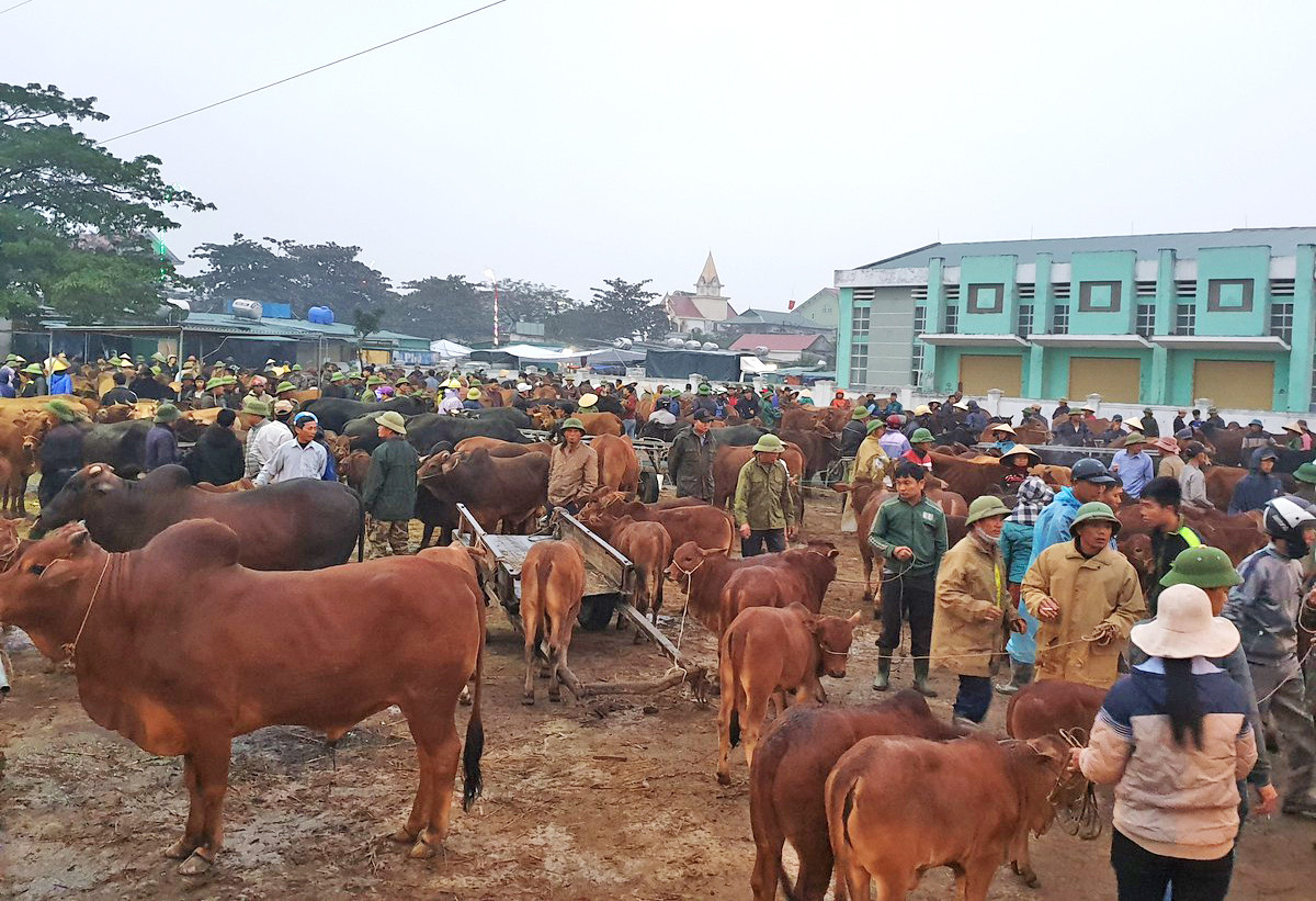 Chợ trâu Ú.