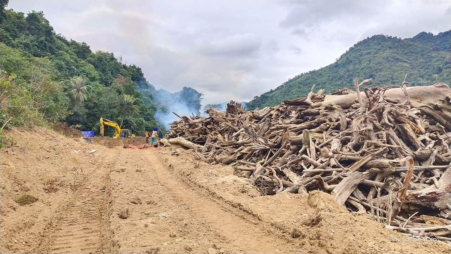 Rác trong lòng hồ có nhiều cây gỗ, phù hợp để người dân tận thu làm chất đốt. Ảnh: CTV 