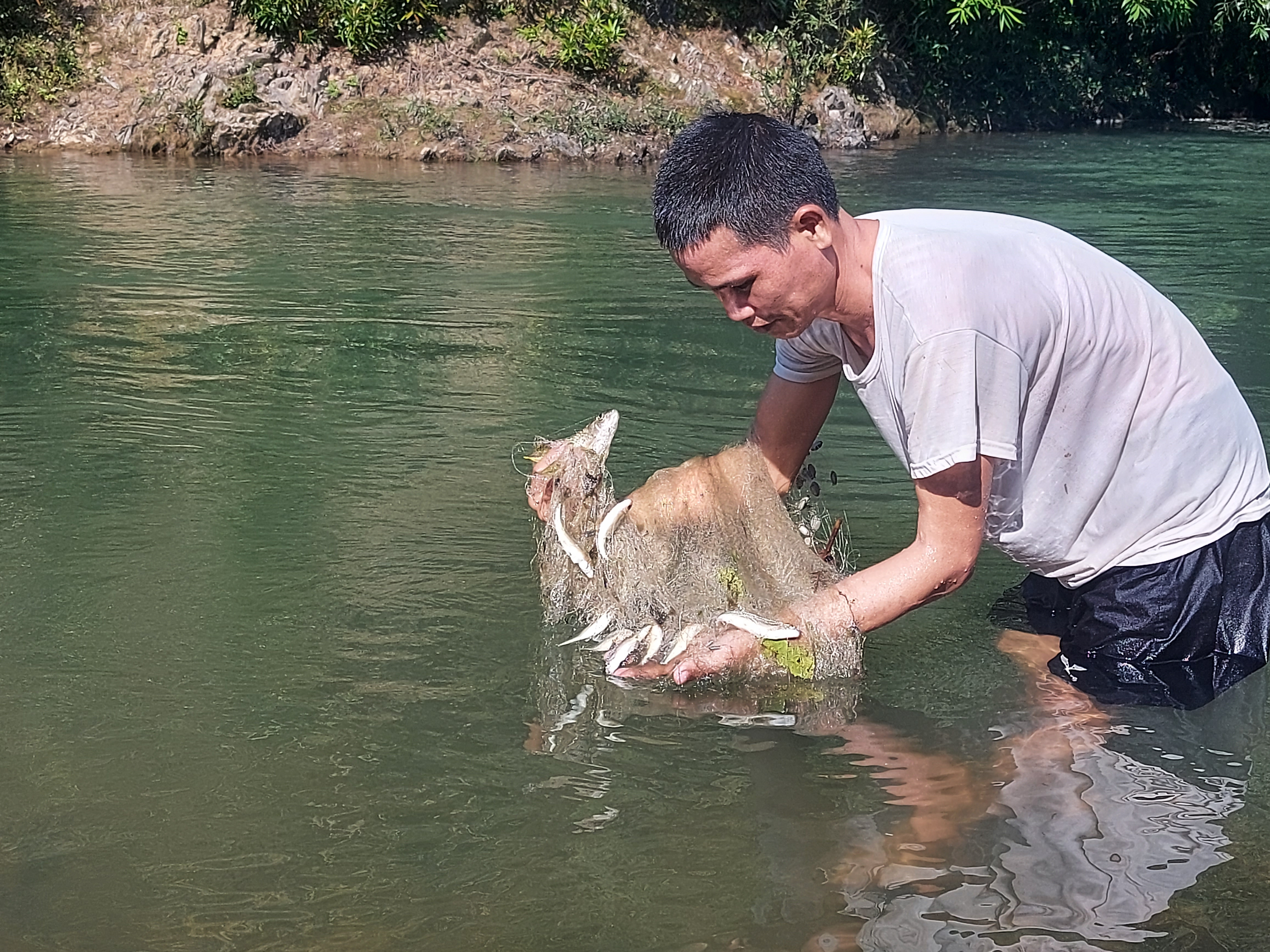 Trước khi gỡ cá ra khỏi lưới, Trưởng bản Lô Thanh Châu cẩn thận rũ, rửa sạch sạch rác ra khỏi lưới. Ảnh: Nhật Lân