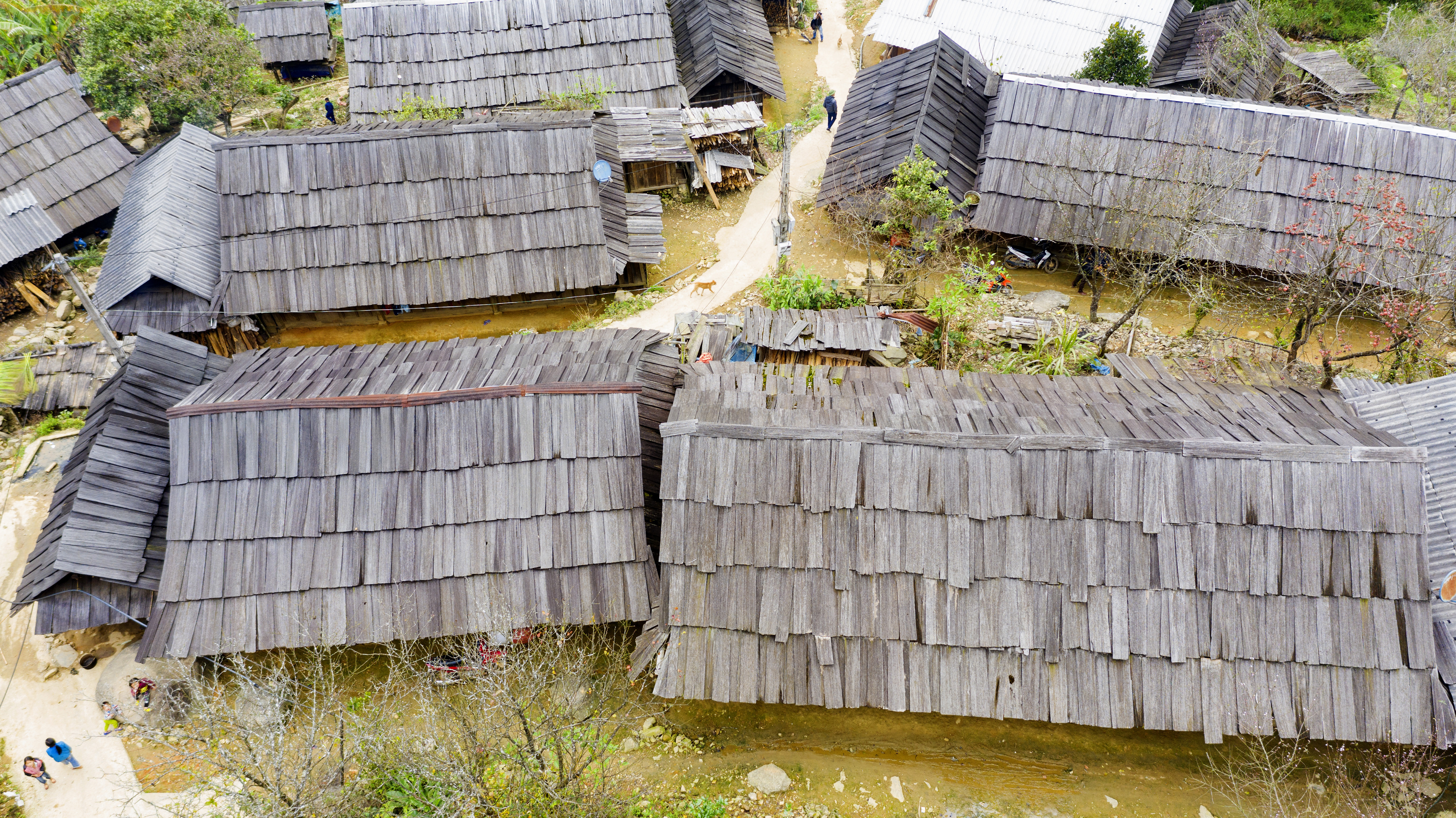 Những mái nhà lợp bằng gỗ Sa mu, Pơ mu giúp cho người dân ấm áp vào mùa Đông, mát mẻ vào mùa Hè. Ảnh: Hồ Nhật Thanh 