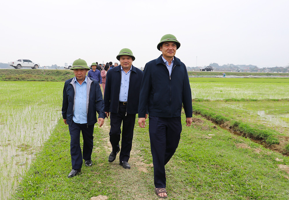Đoàn công tác kiểm tra tình hình chăm sóc lúa mới gieo cấy tại huyện Đô Lương Ảnh: Phú Hương