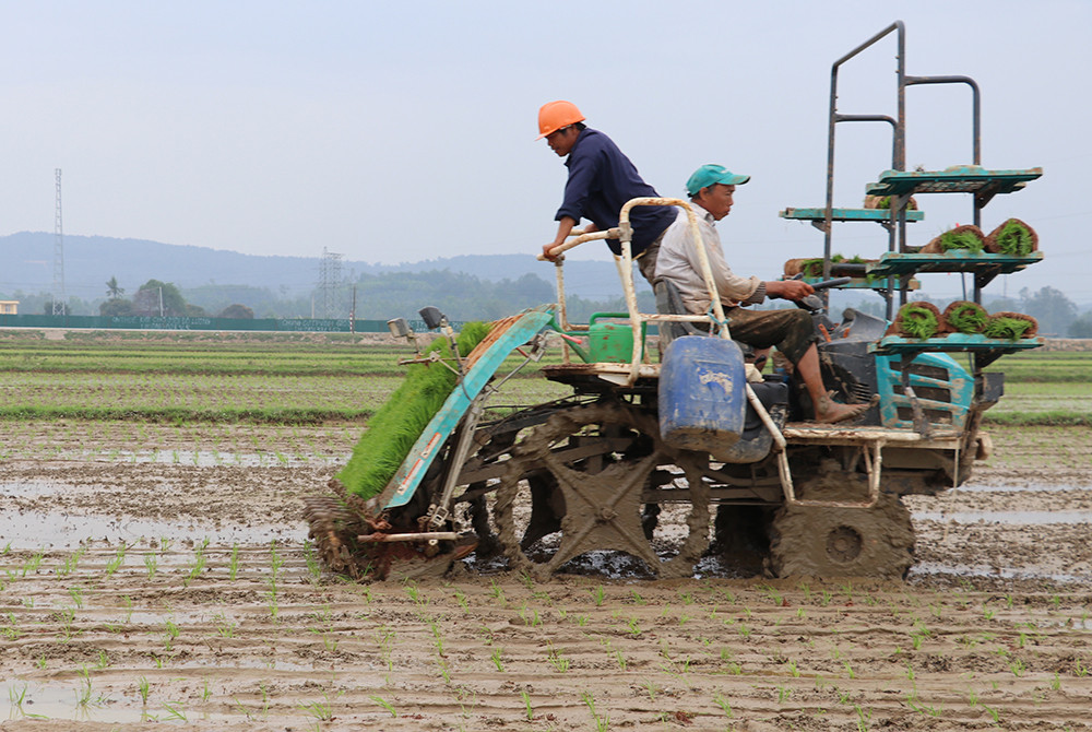 Huyện Đô Lương đưa máy cấy vào sản xuất, đẩy nhanh tiến độ gieo cấy. Ảnh: Phú Hương