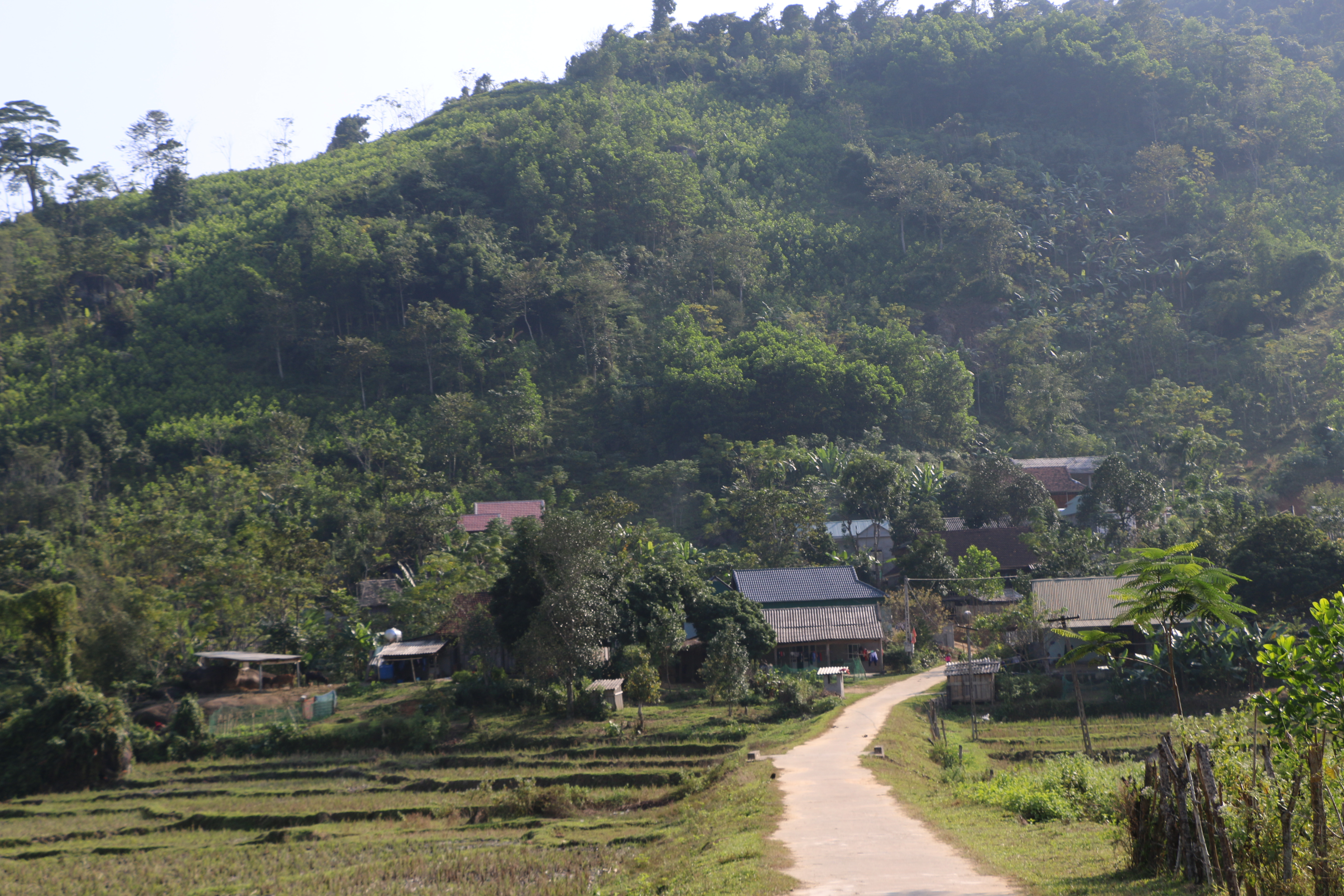 Quang cảnh bản Vinh Tiến. Ảnh: KL