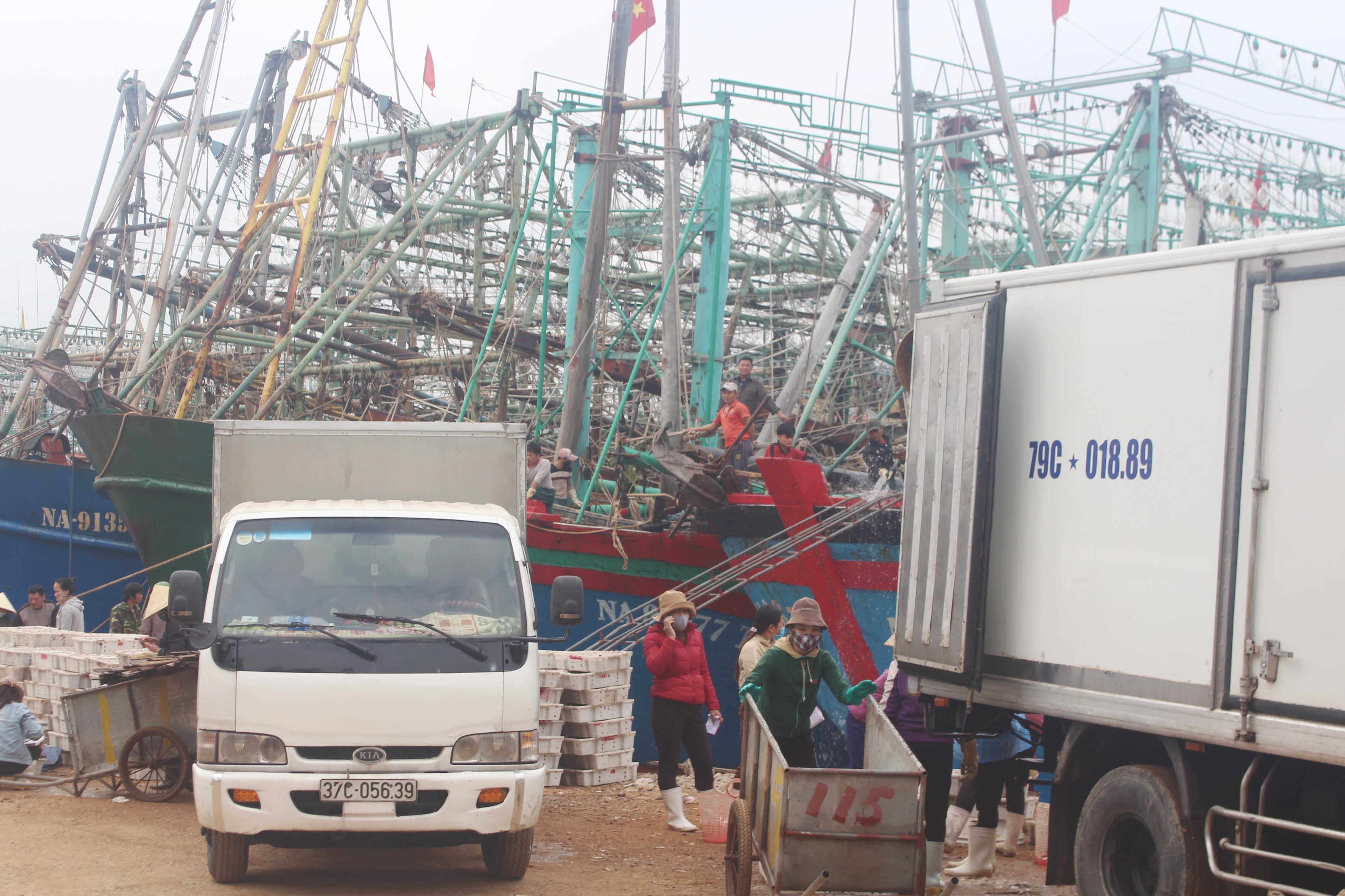 Nhiều xe tải tải đến cảng cá thu mua hải sản.. Ảnh: Việt Hùng