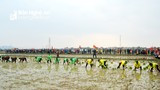 Nghệ An tổ chức lễ hội xuống đồng và Tết trồng cây 'Nông dân ơn Bác'