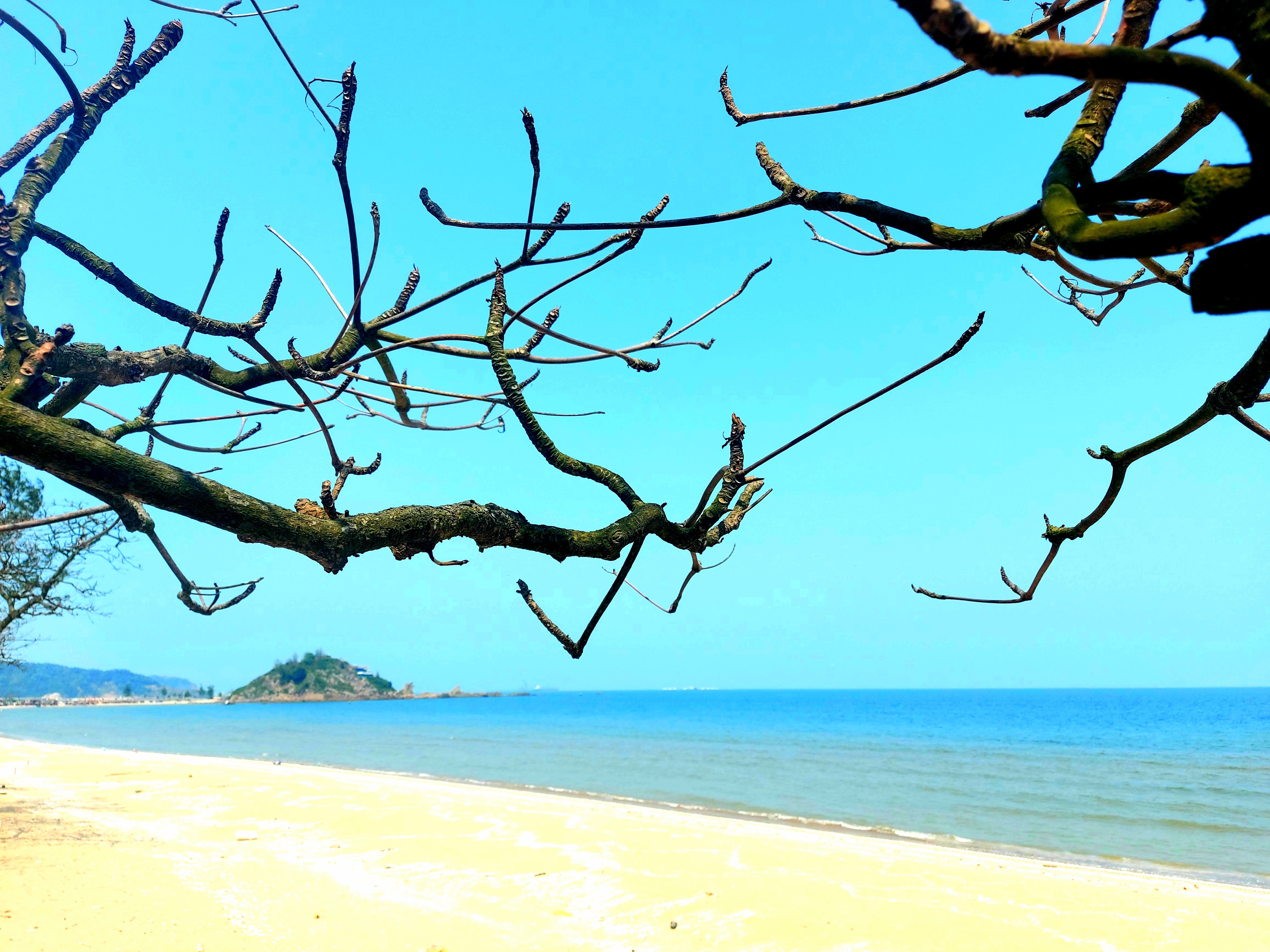 Những thân, cành trơ trọi của cây bàng như đáng thương, tội nghiệp nhưng hòa cùng biền xanh, đảo Lan Châu... lại tạo nên cảnh sắc tuyệt đẹp cho biển Cửa Lò ngày đầu Xuân.