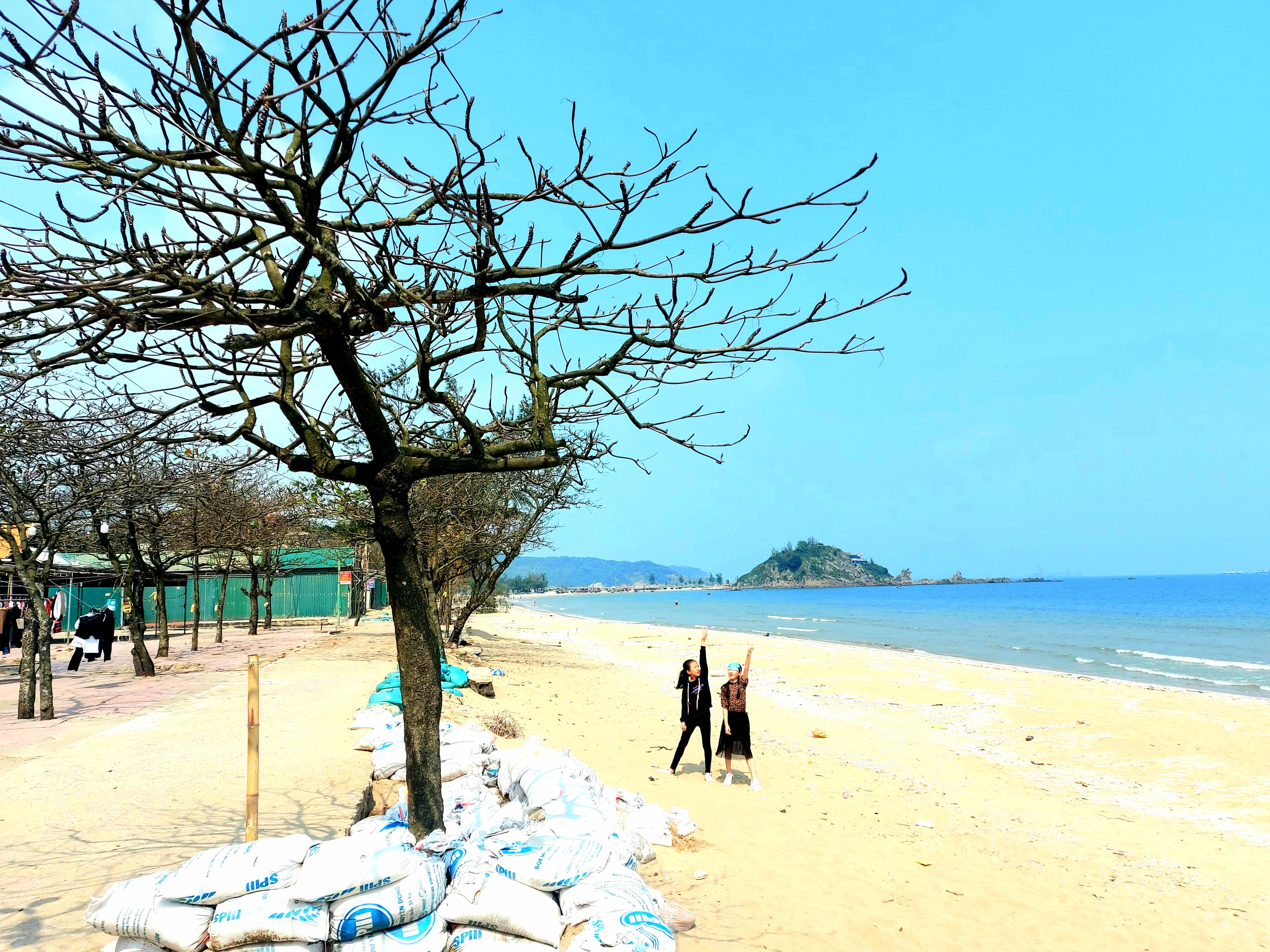 Với cảnh sắc được quyện hòa từ cát vàng, biển xanh, cây nêu, đảo Lan Châu... với những cây bàng mồ côi. Biển Cửa Lò là một địa chỉ đáng để du khách lựa chọn trong những ngày xuân mới. Ảnh: Nhật Lân