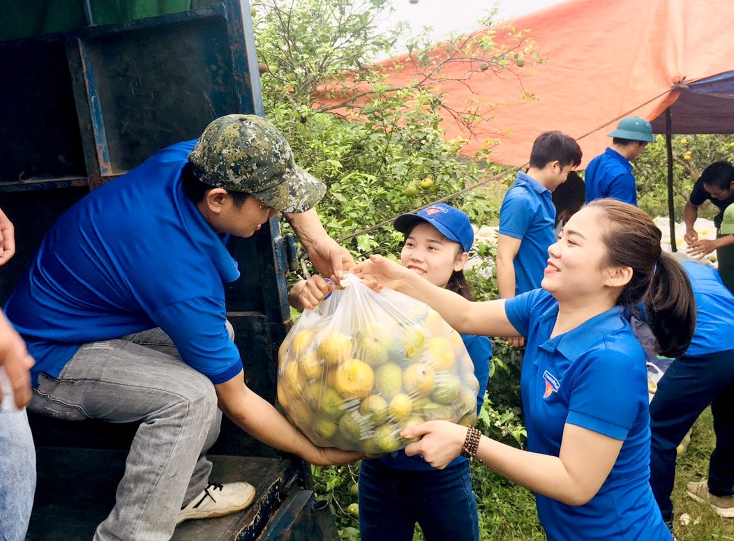 Quýt PQ được vận chuyển về TP.Vinh để tiêu thụ giúp người dân. Ảnh: P.V