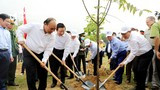 Thủ tướng Nguyễn Xuân Phúc dự Lễ hưởng ứng 'Chương trình trồng 1 tỷ cây xanh - Vì một Việt Nam xanh'