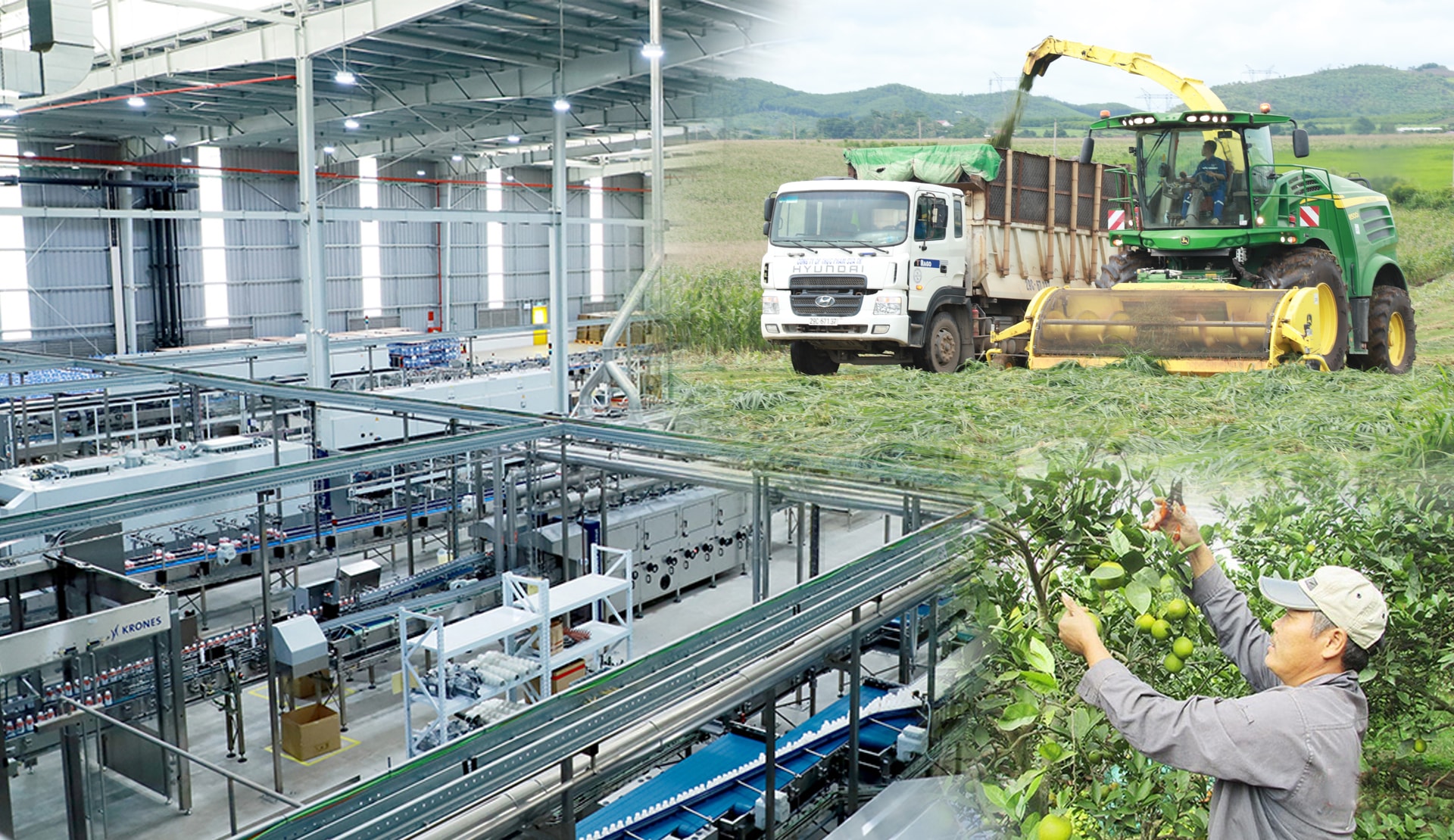 Các mô hình kinh tế bền vững góp phần đẩy mạnh xây dựng NTM. Ảnh tư liệu
