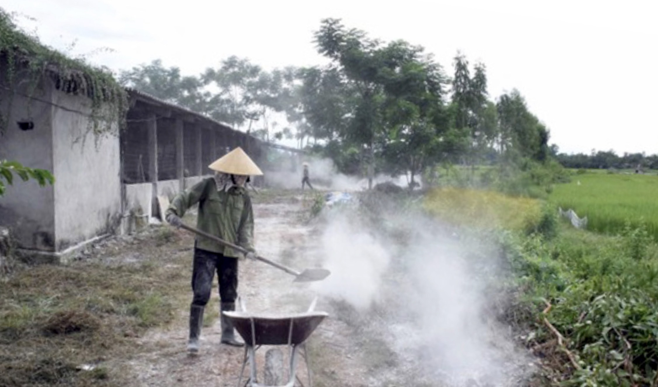 Người dân cần phải rắc vôi bột và tiến hành tiêu độc, khử trùng kỹ càng trước khi tái nuôi đàn lợn mới. Ảnh: PV