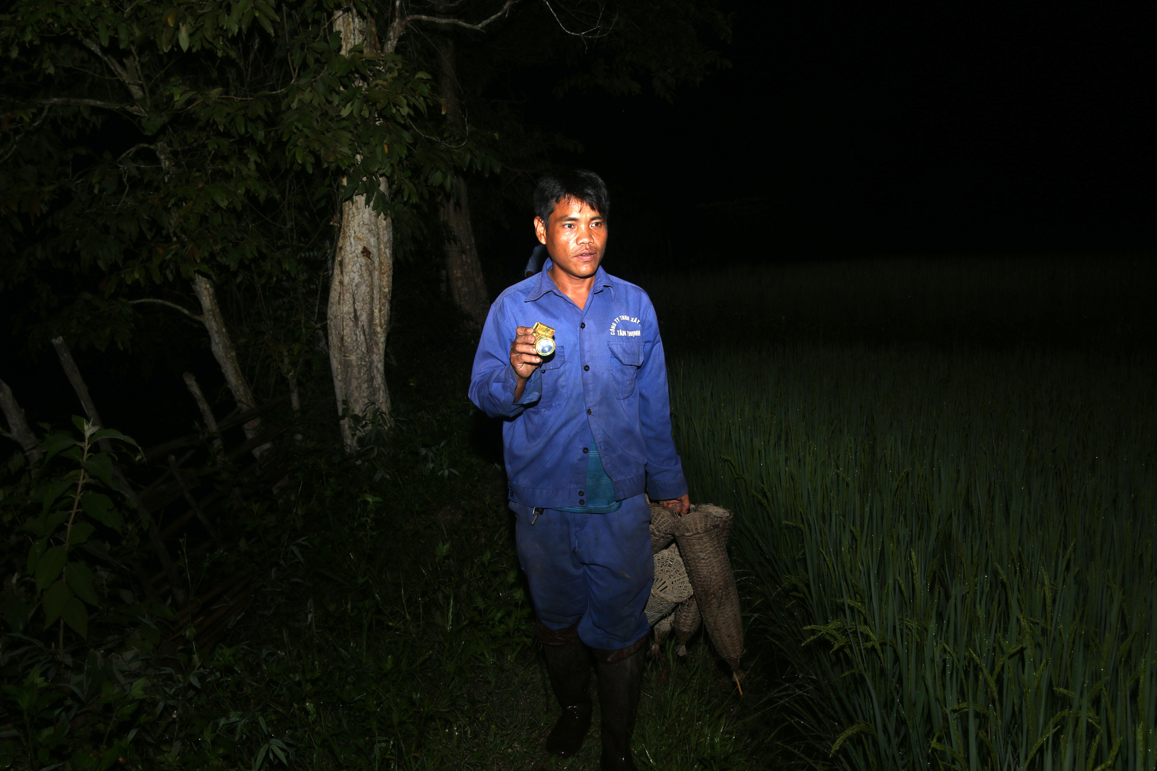 Ban ngày, những thợ săn đi dạo khắp các đồng ruộng để xem nơi có nhiều lươn sinh sống. Ban đêm cứ tầm khoảng 7 giờ tối, họ mới bắt đầu mang đó ra thả. Ảnh: Đình Tuân