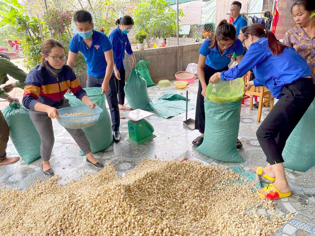 Các tổ chức, đoàn thể chung tay giải cứu hành tăm cho người dân Nghi Lộc. Ảnh: Nguyên Châu