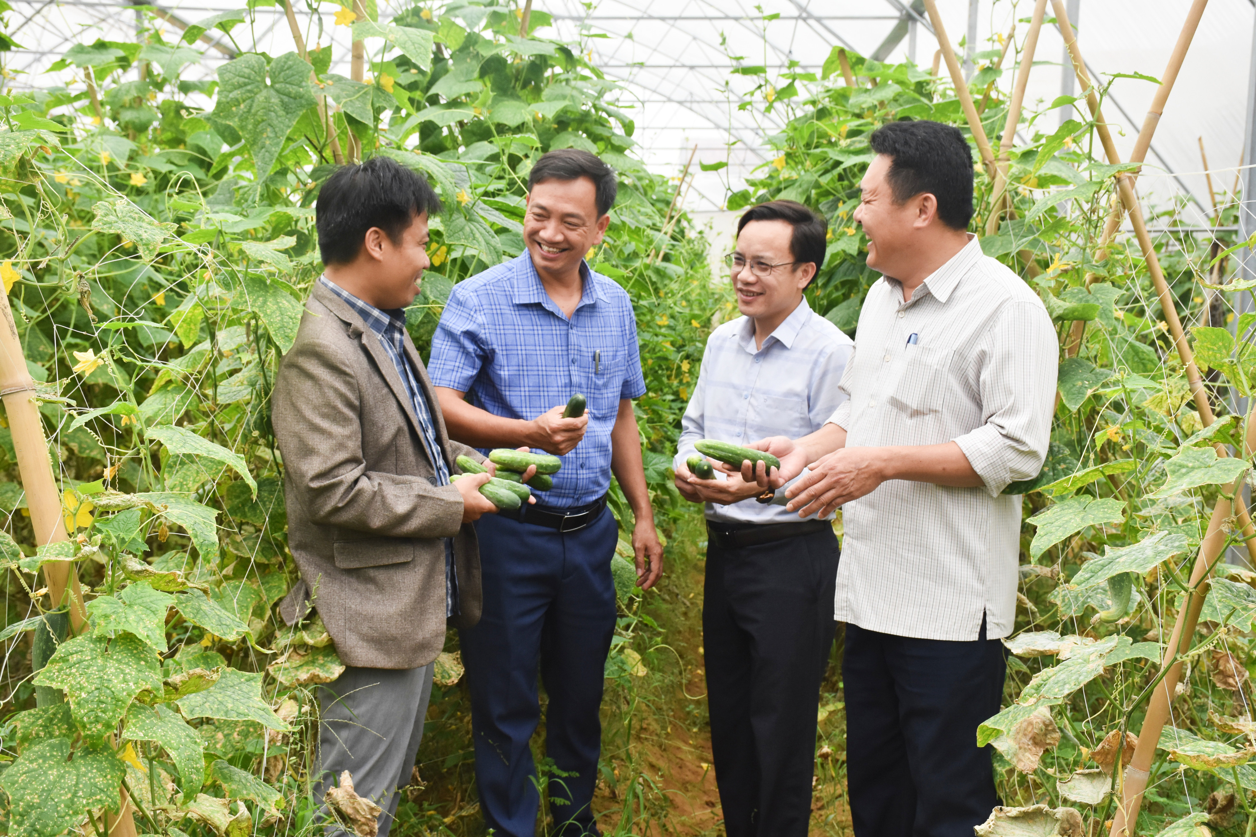 Lãnh đạo Báo Nghệ An và thị xã Hoàng Mai tìm hiểu mô hình phát triển kinh tế trên địa bàn thị xã Hoàng Mai. Ảnh: Thanh Lê