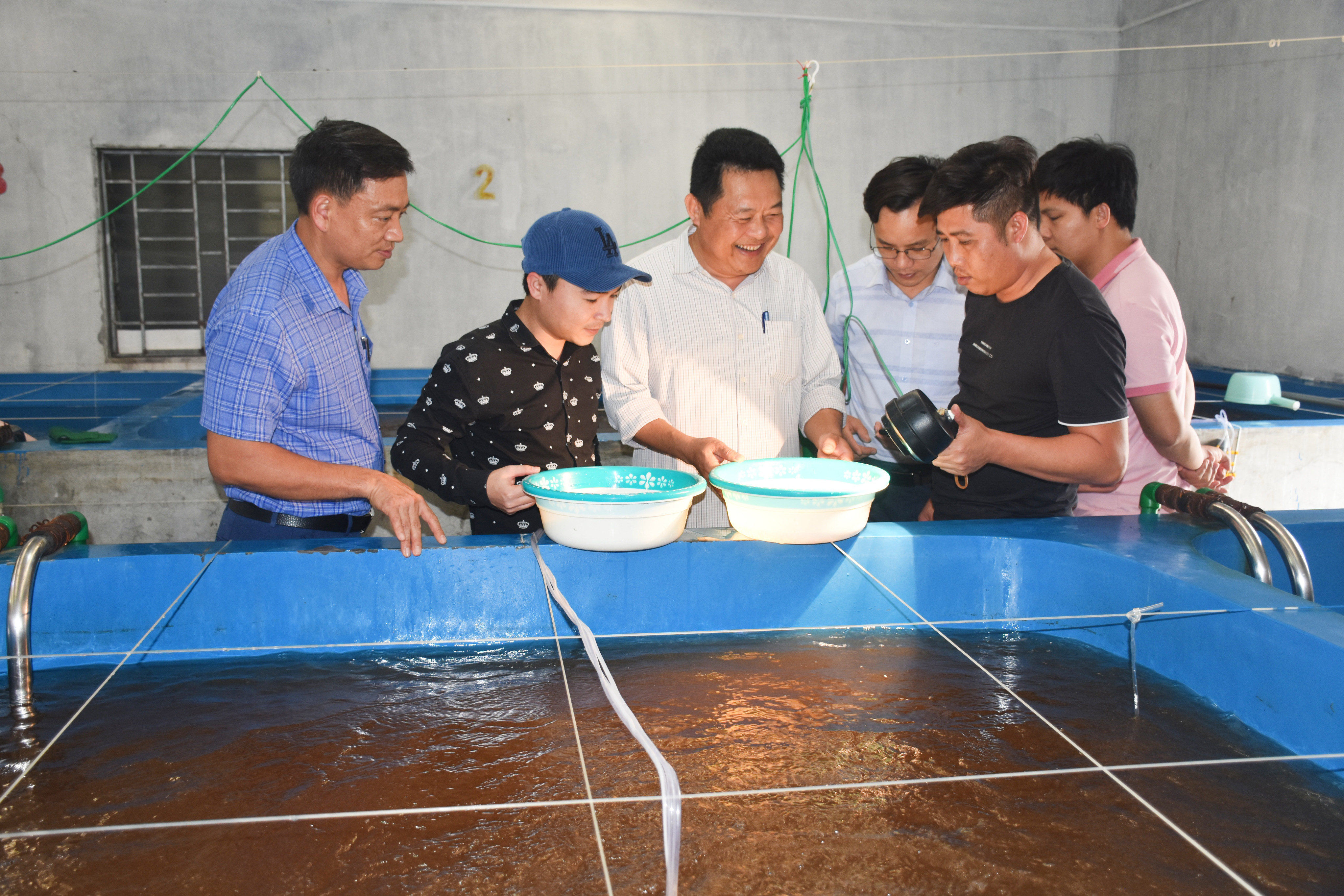 Tìm hiểu mô hình nuôi tôm trên địa bàn thị xã Hoàng Mai. Ảnh: Thanh Lê