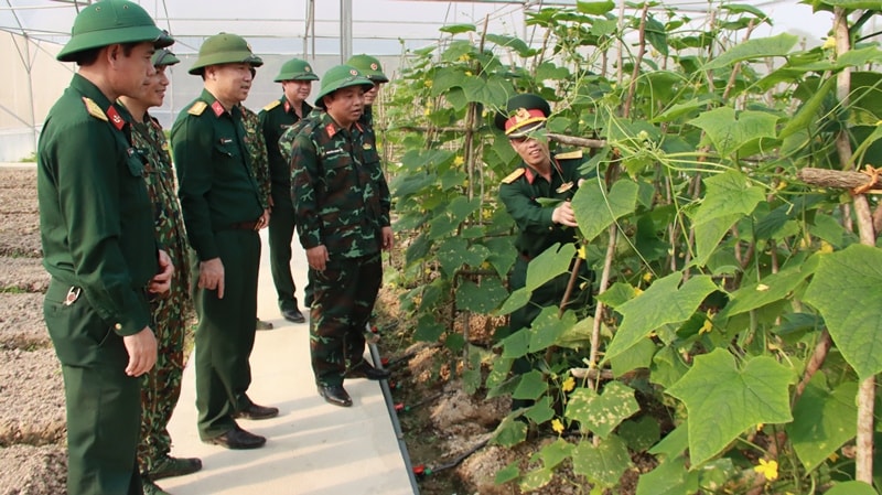 Kiểm tra công tác tăng gia sản xuất sử dụng đất quốc phòng