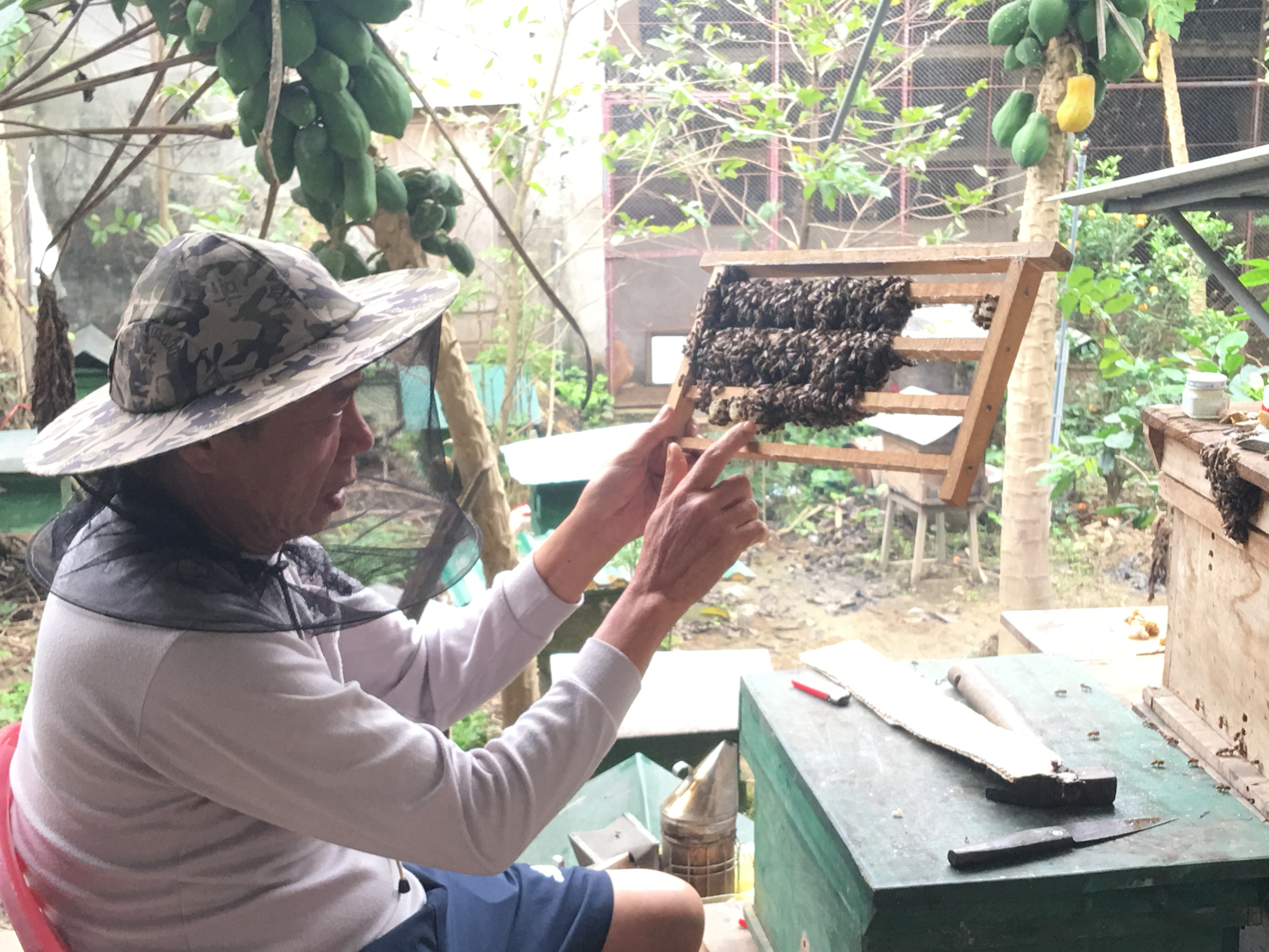 3.Ông Nguyễn Văn Dung là một trong những “cao thủ” nuôi ong ở Nghệ An