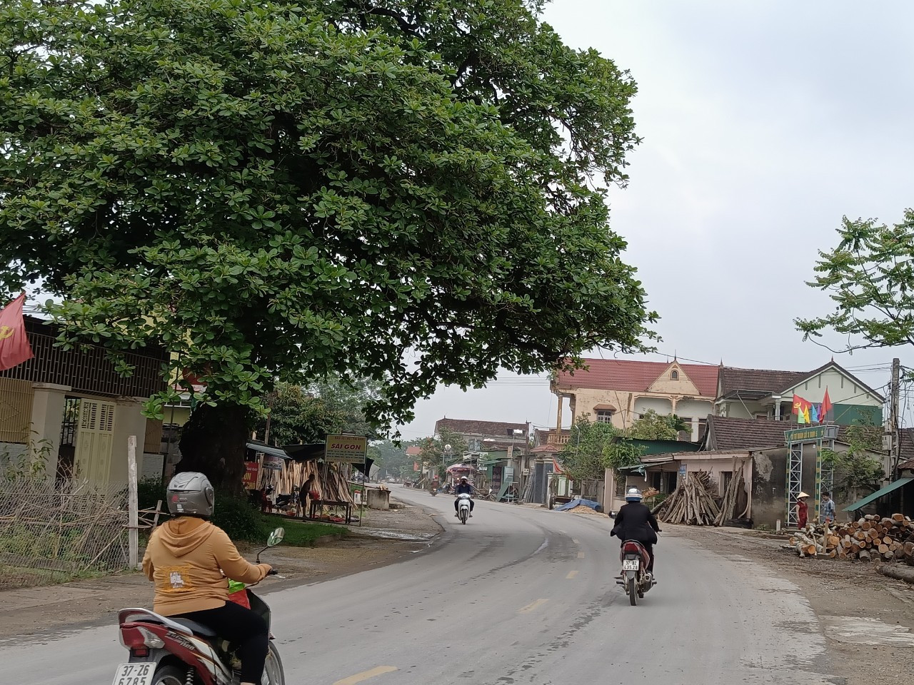 Cây Bàng nằm giáp ranh giữa xã Nam Sơn và Đặng Sơn (Đô Lương) cũng trùm lên đường Quốc lộ 7A, nơi hàng ngày có rất đông người, xe qua lại. Ảnh: TĐ