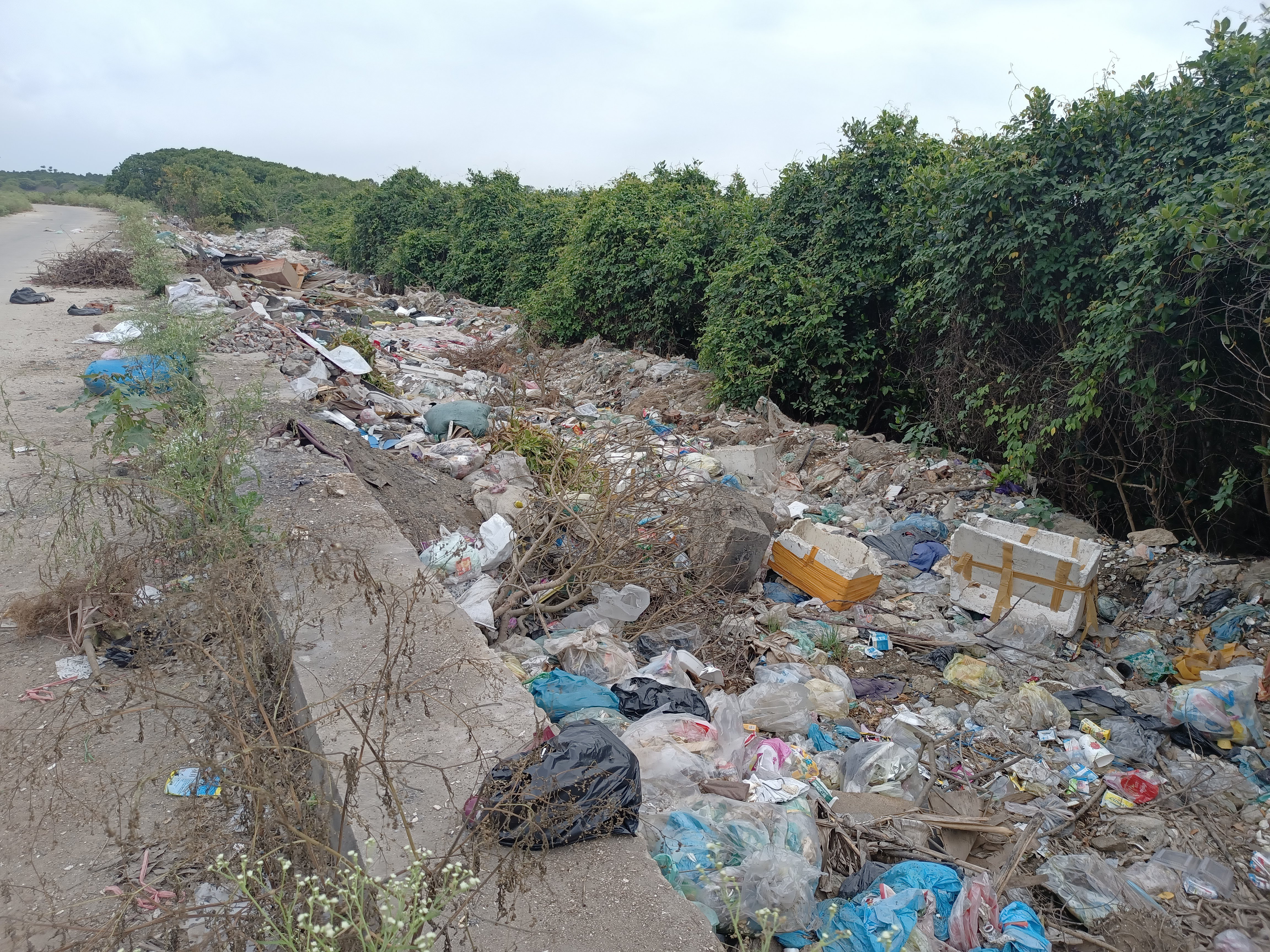 Ngay khu vực sát với cảng Lạch Vạn, rác thải được vứt giữa rừng bần và mép đường. Ảnh: Tiến Đông