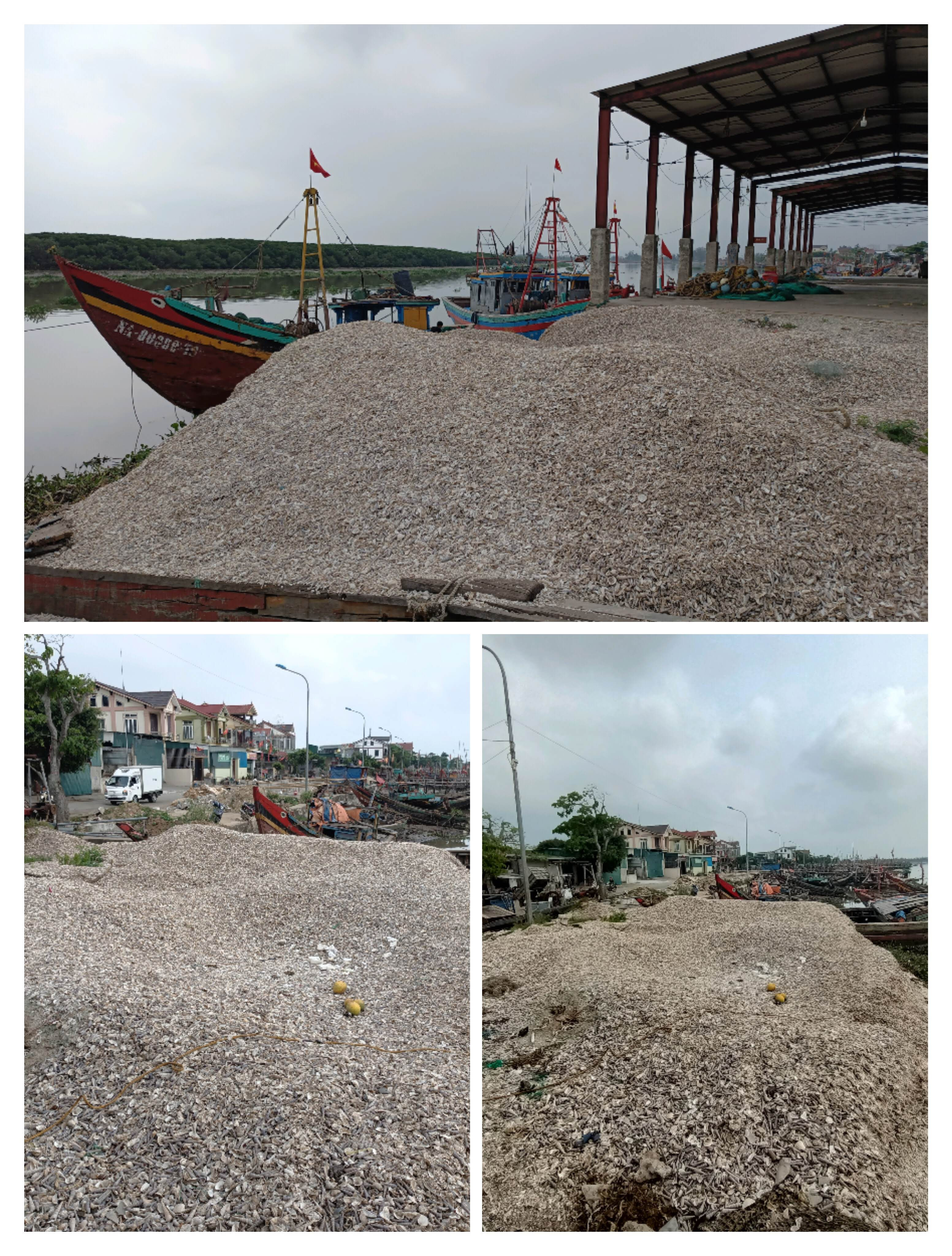 Một đống vỏ sò, vỏ ốc được đổ ngay tại cảng Lạch Vạn. Ảnh: Tiến Đông