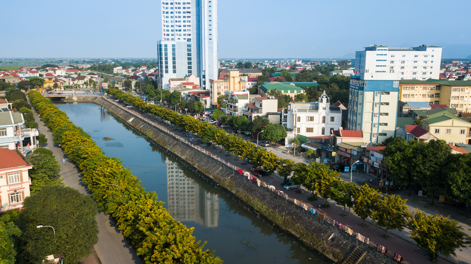 Cây giáng hương là loài cây thân gỗ, cho bóng xanh mát, cây có giáng thanh thoát, gợi vẻ đẹp mong manh nhưng vô cùng quyến rũ. Ảnh: Lê Thắng