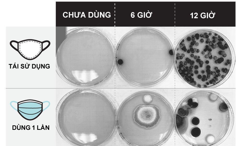 Lượng nấm mốc trên khẩu trang sau 6 và 12 giờ sử dụng