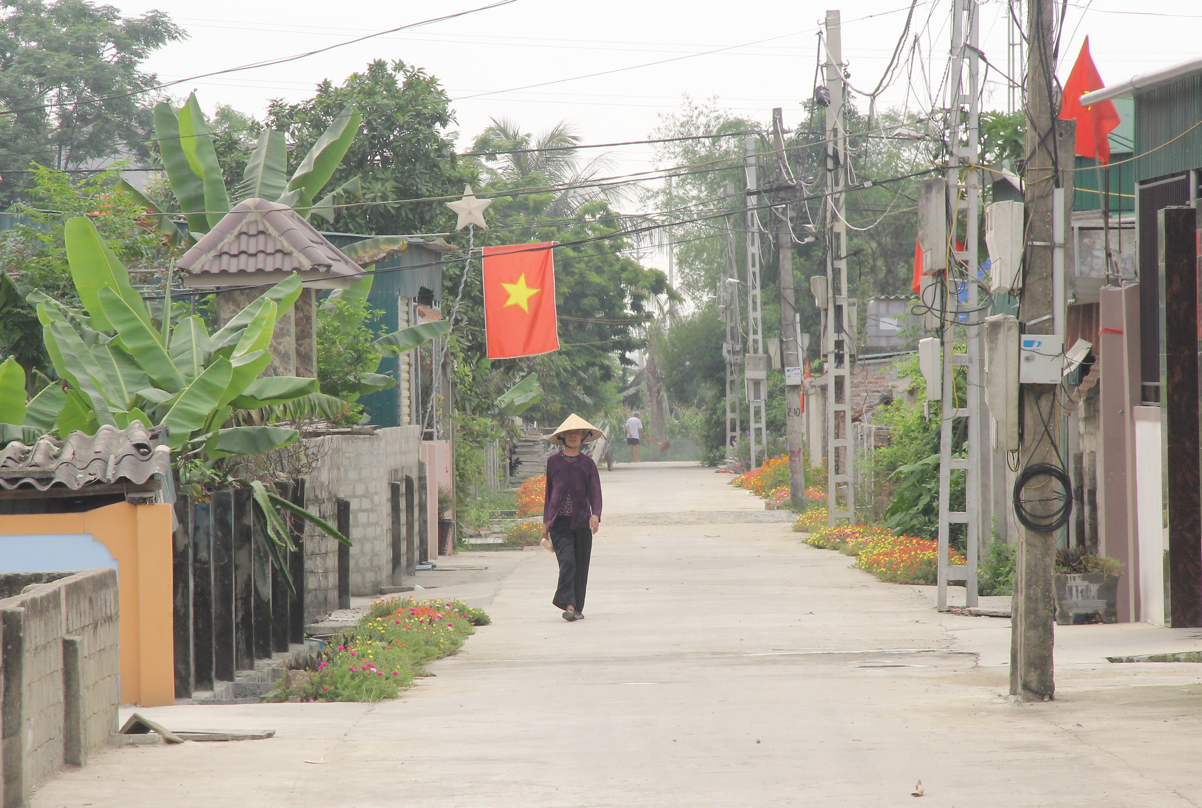 Nhiều tuyến đường được trồng hoa ở xã Nghi Thuận. Ảnh: Mai Hoa