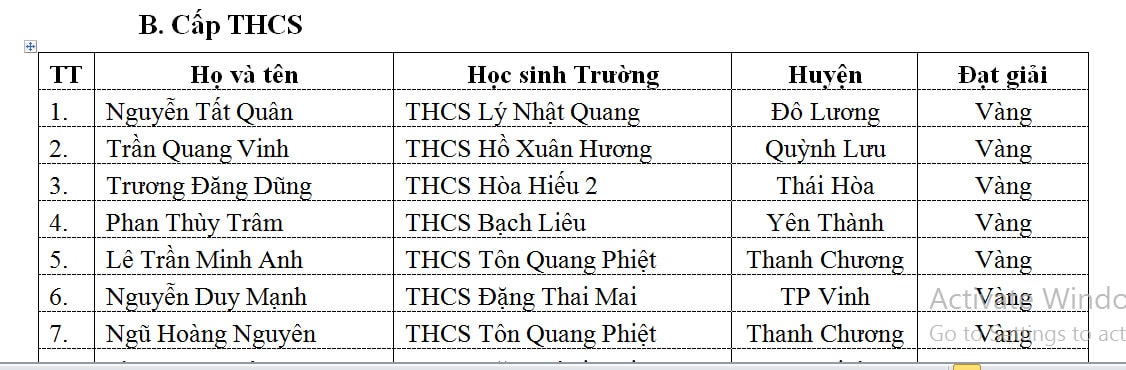 Danh sách những học sinh đạt giải Vàng môn Toán bậc THCS. Ảnh: MH