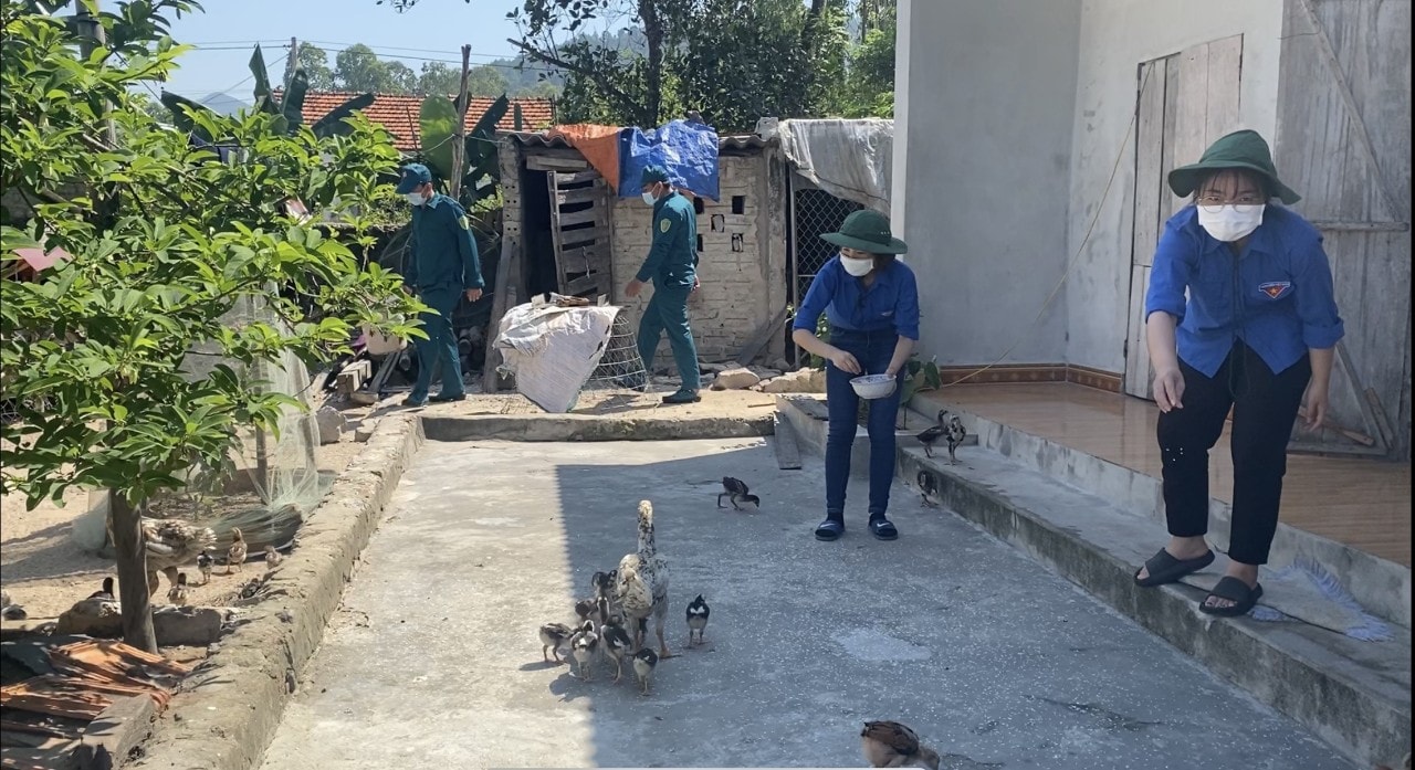 Các thanh niên tình nguyện giúp gia đình đi cách li chăm sóc đàn gà