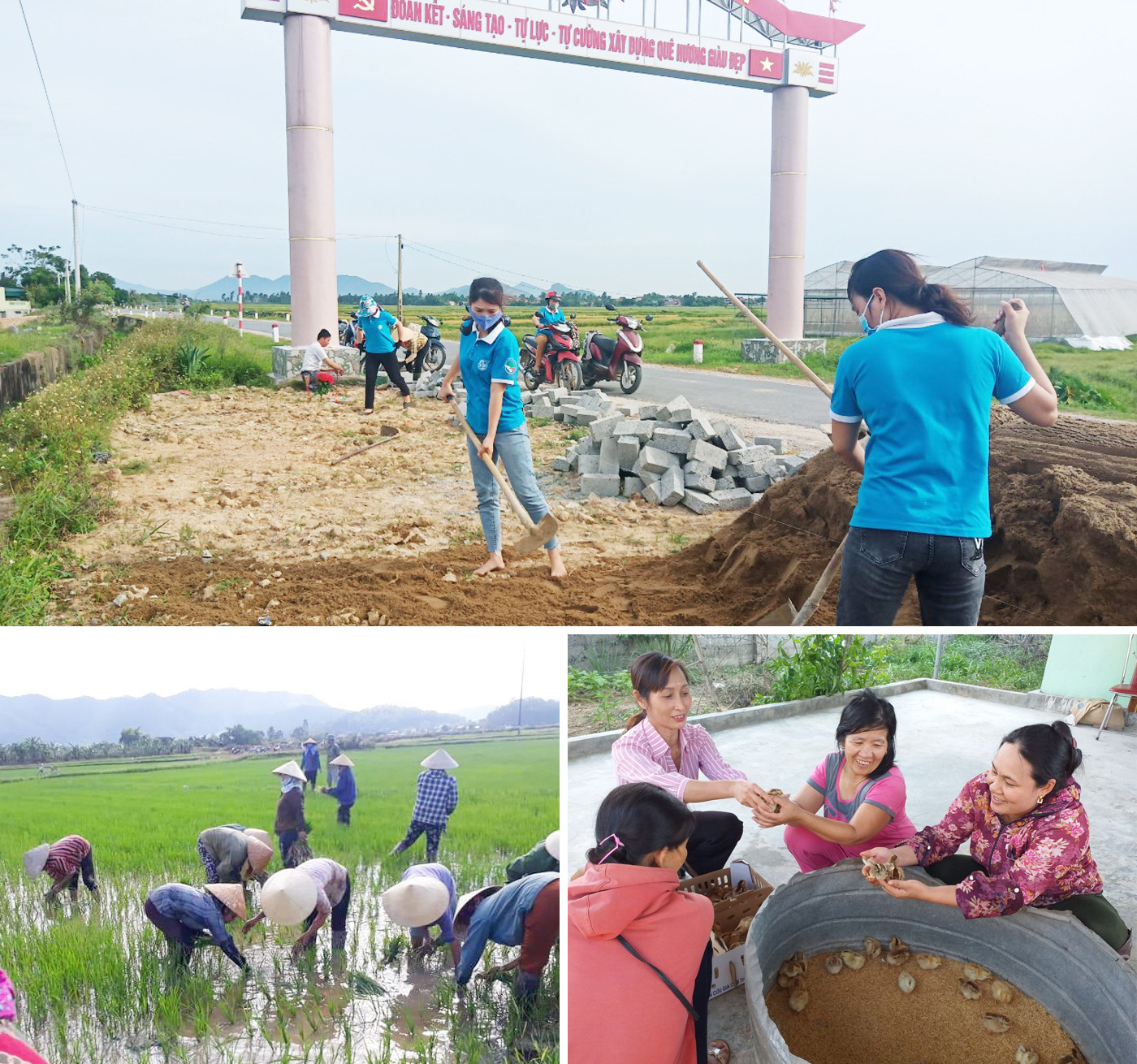 Hội Phụ nữ xã Nam Cát đảm nhận việc tạo cảnh quan môi trường và trồng lúa gây quỹ giúp phụ nữ nghèo; Hội Phụ nữ xã Nam Lĩnh lựa chọn gà giống hỗ trợ sinh kế cho chị em hộ nghèo