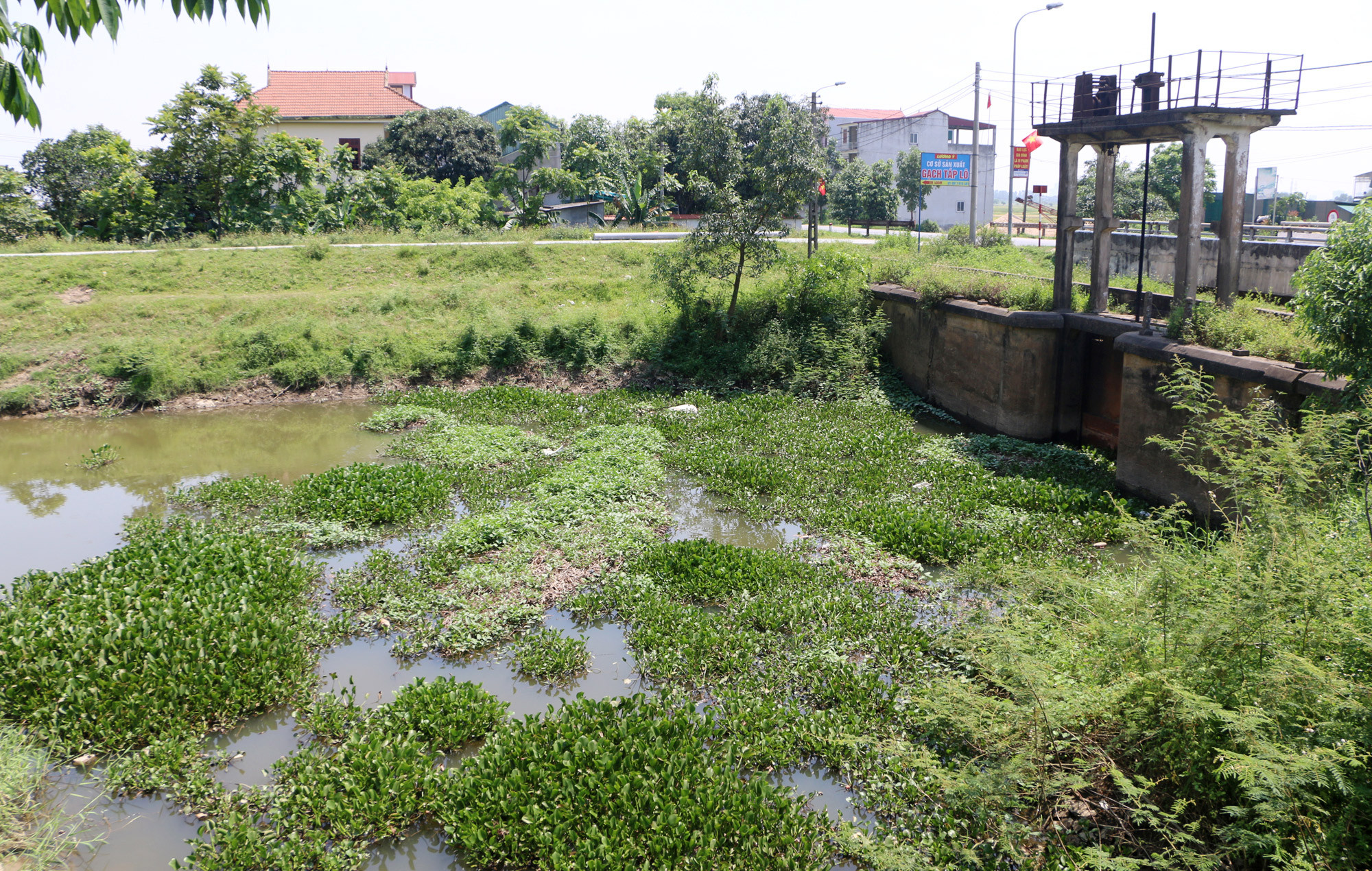 Nguồn nước đầu vào tại Trạm Hưng Tân không thực sự sạch khiến người dân không yên tâm cho mục đích ăn uống. Ảnh: Nguyễn Hải