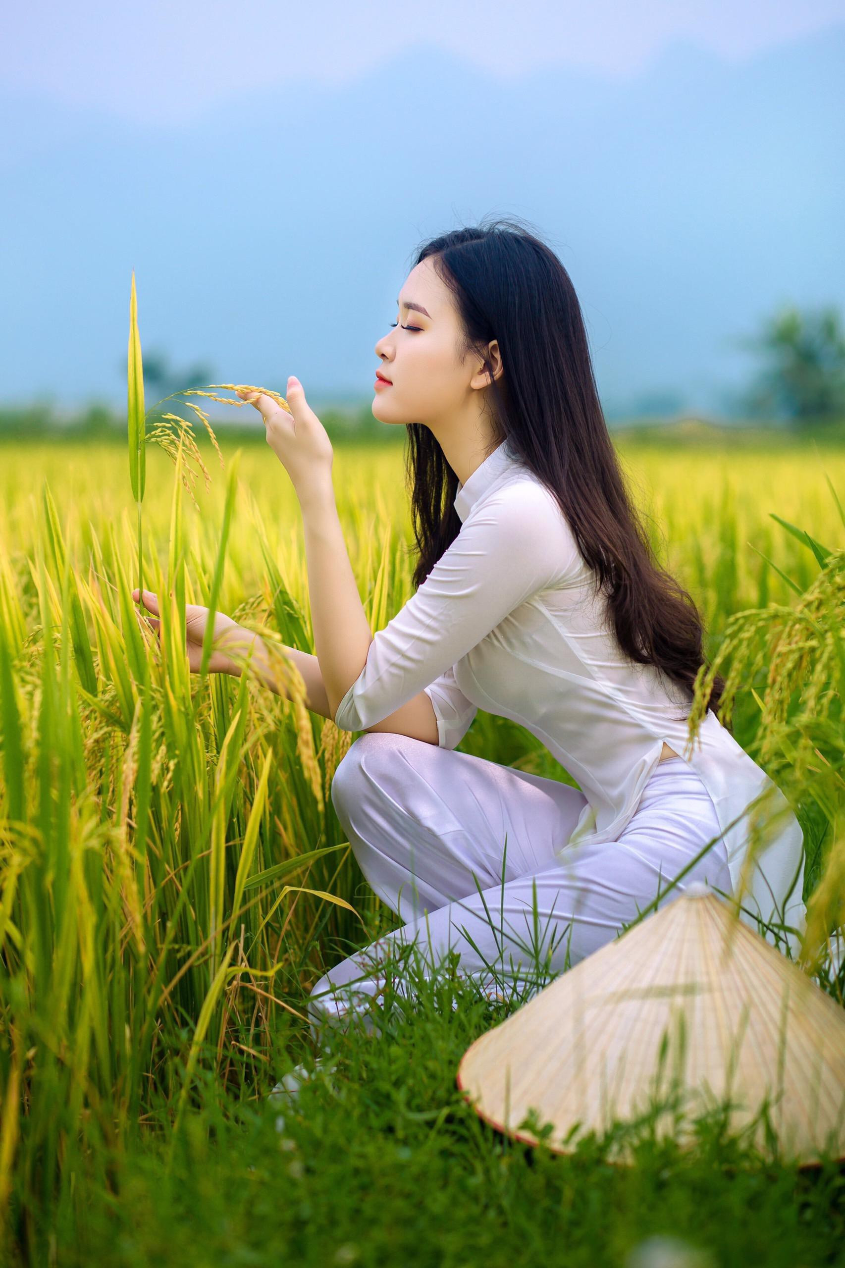 Hoa khôi sinh viên Nghệ An từng thi HHVN 2020 khoe nhan sắc ngọt ngào với áo dài trắng ảnh 3