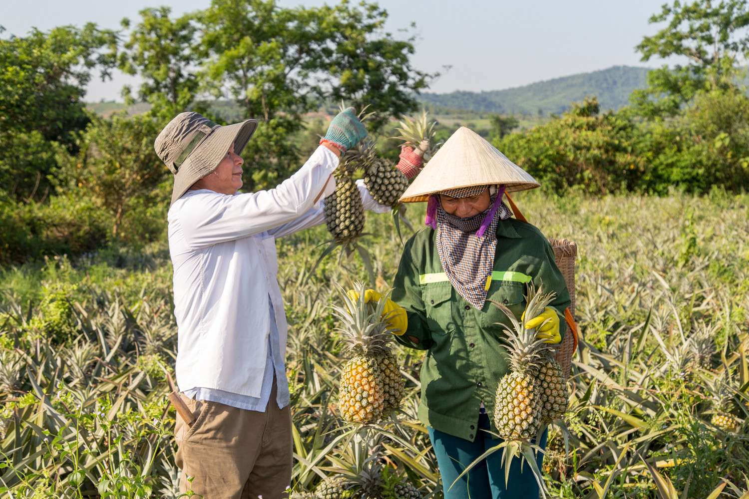 Người dân Quỳnh Thắng yên tâm lao động sản xuất. Ảnh tư liệu Lê Thắng