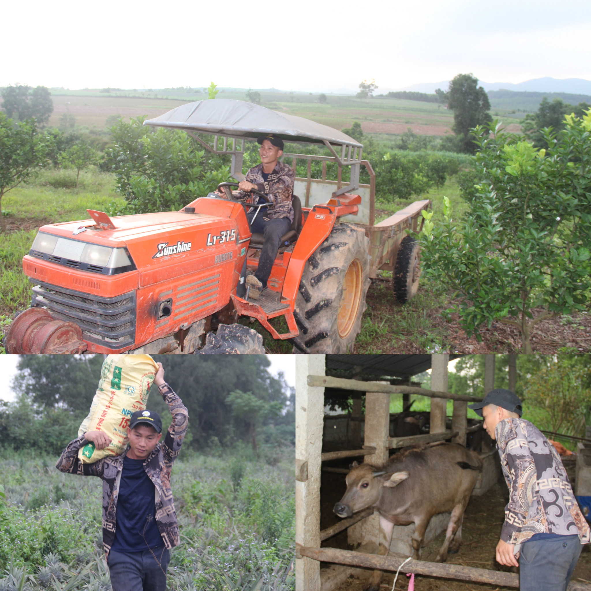 Trần Văn Trung tự mình vận hành máy móc, lao động xây dựng trang trại nông nghiệp. Ảnh: Hoài Thu