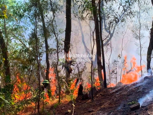 Cháy rừng tại xã Diễn Lộc, huyện Diễn Châu ngày 30/5/2021. Ảnh PV
