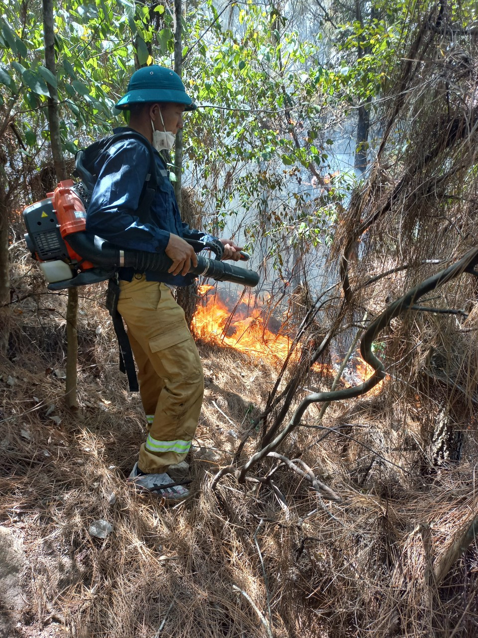Lực lượng chức năng khẩn trương chữa cháy rừng thông ở xã Quỳnh Lập, thị xã Hoàng Mai. Ảnh VH