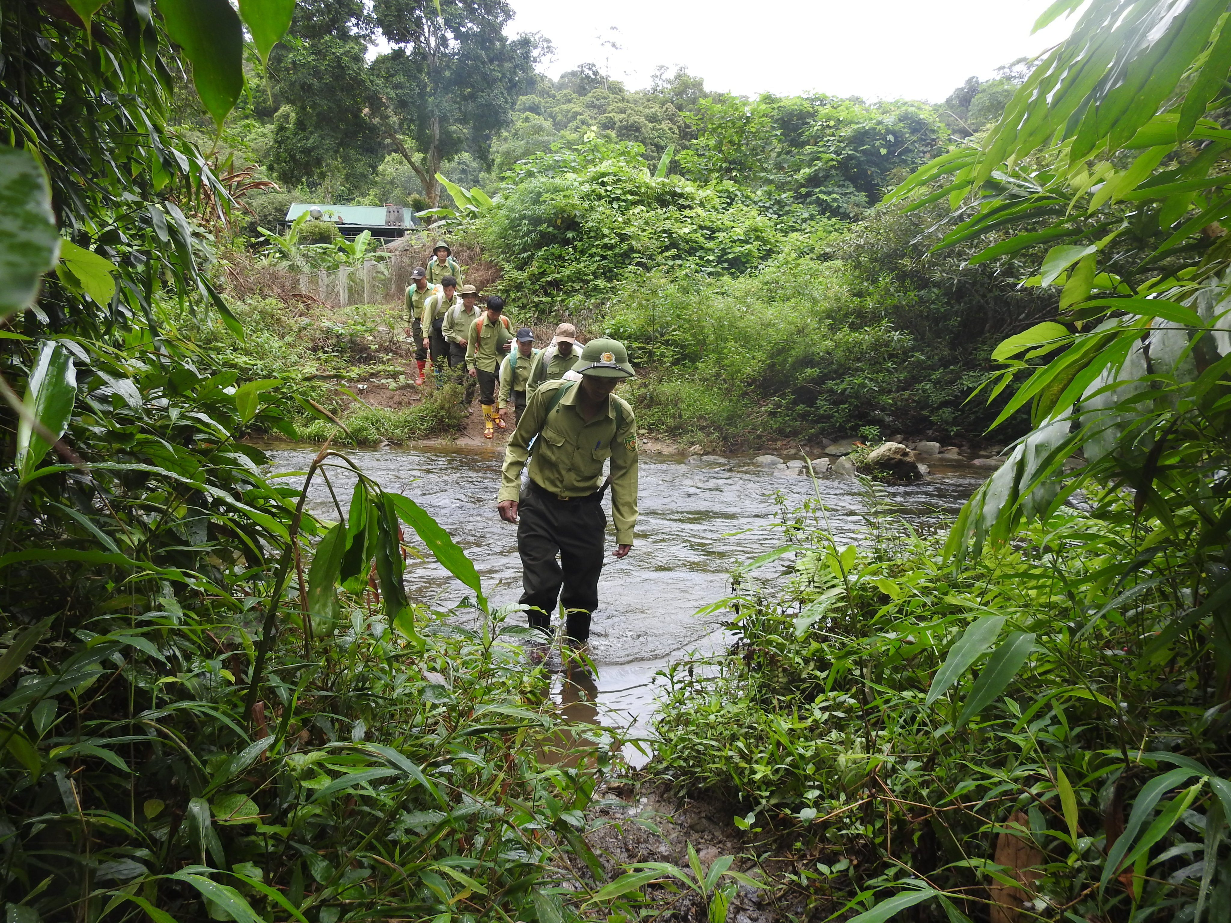 Các lực lượng chức năng tuần tra bảo vệ rừng.