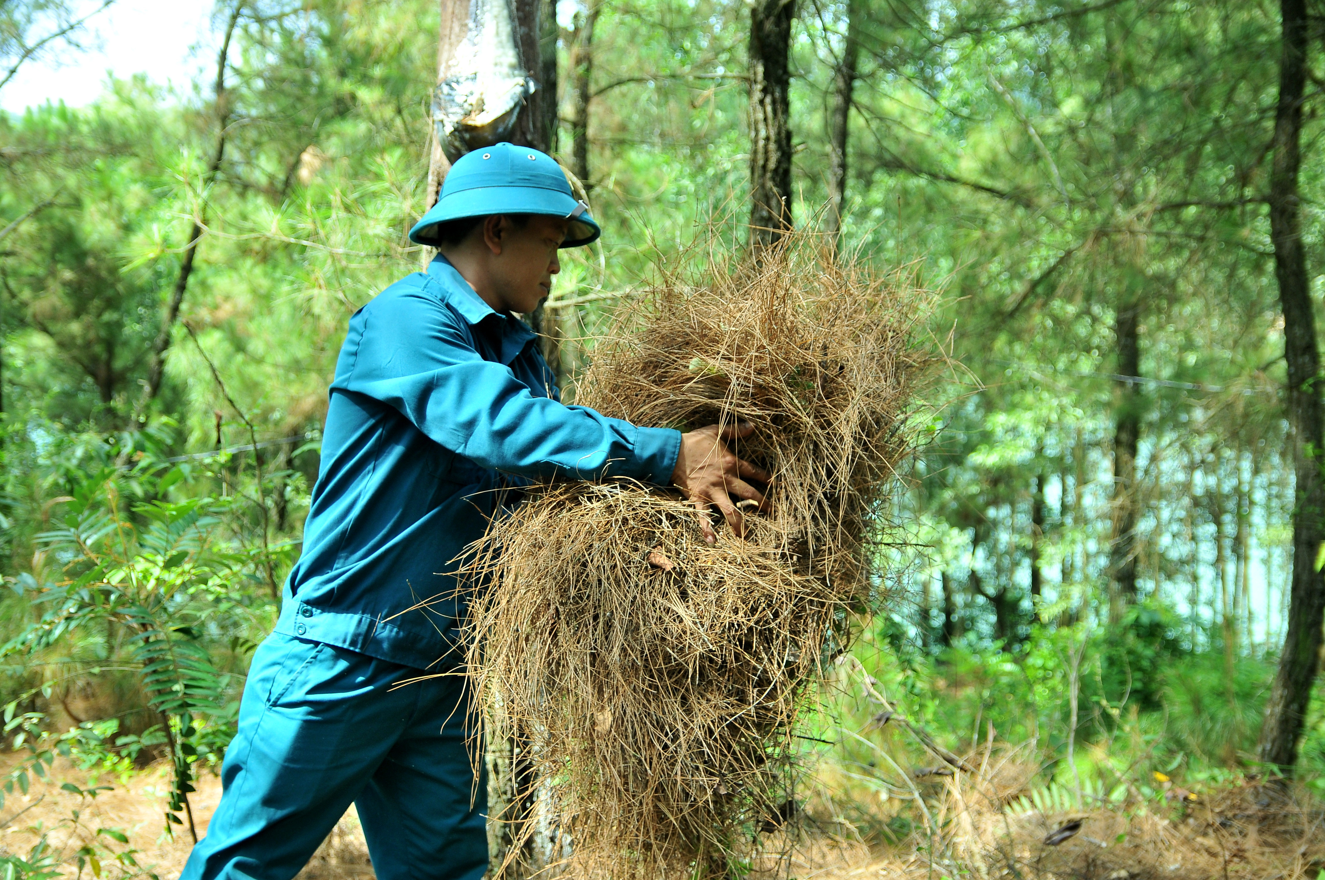 Ông Lê Minh Nguyên - Hạt trưởng Hạt Kiểm lâm Diễn Châu thừa nhận lớp thực bì tại những cánh rừng trên địa bàn huyện đang quá dày do không đủ kinh phí thu gom hàng năm. Ảnh: Tiến Đông