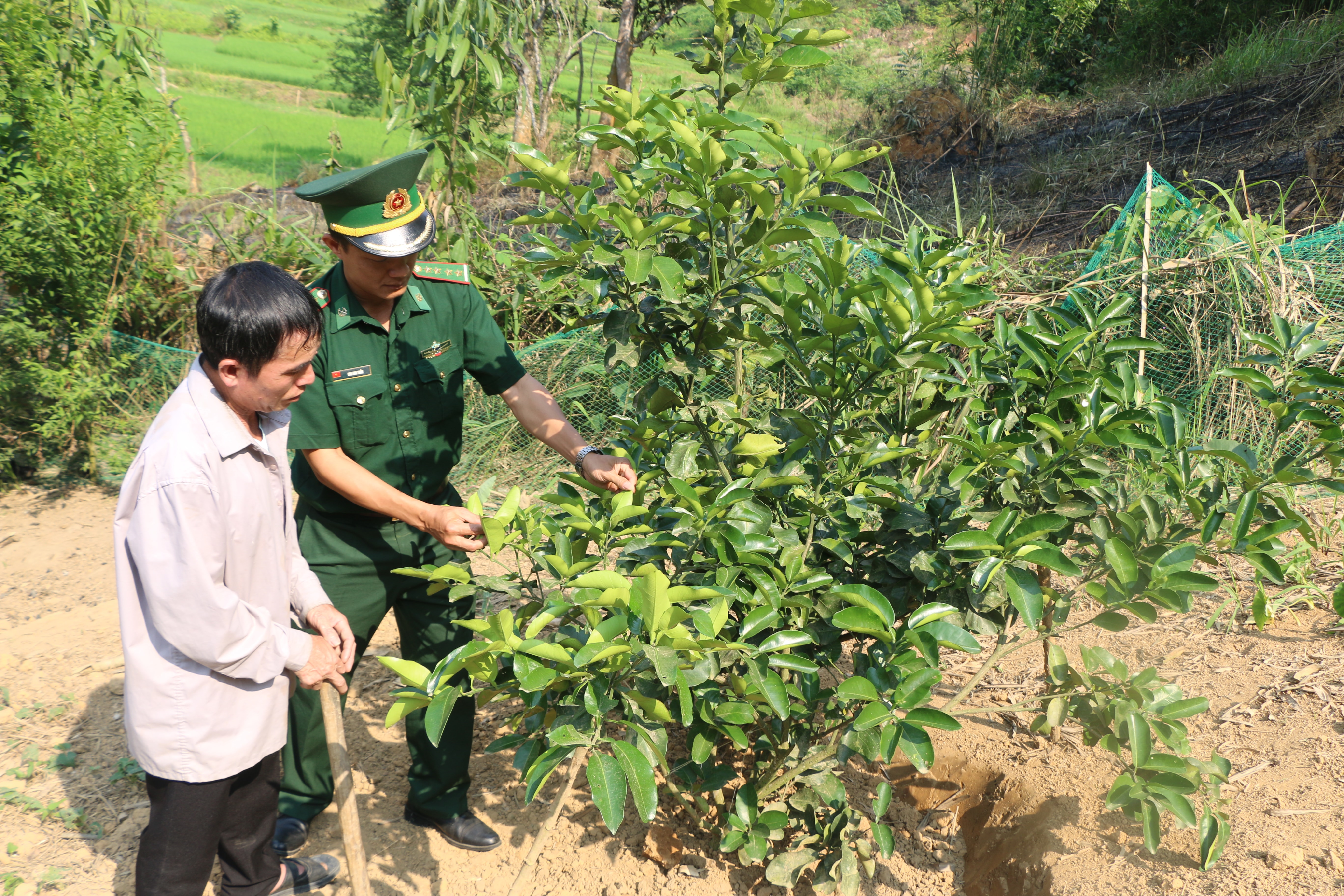Bí thư chi bộ bản Na Hứm ( xã Thông Thụ) Vi Chung Thủy