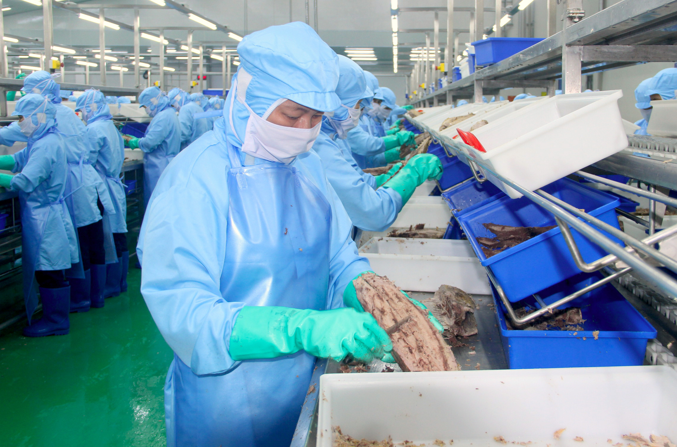 Công nhân nhà máy chế biến cá hộp ở KCN Nam Cấm. Ảnh Thu Huyền