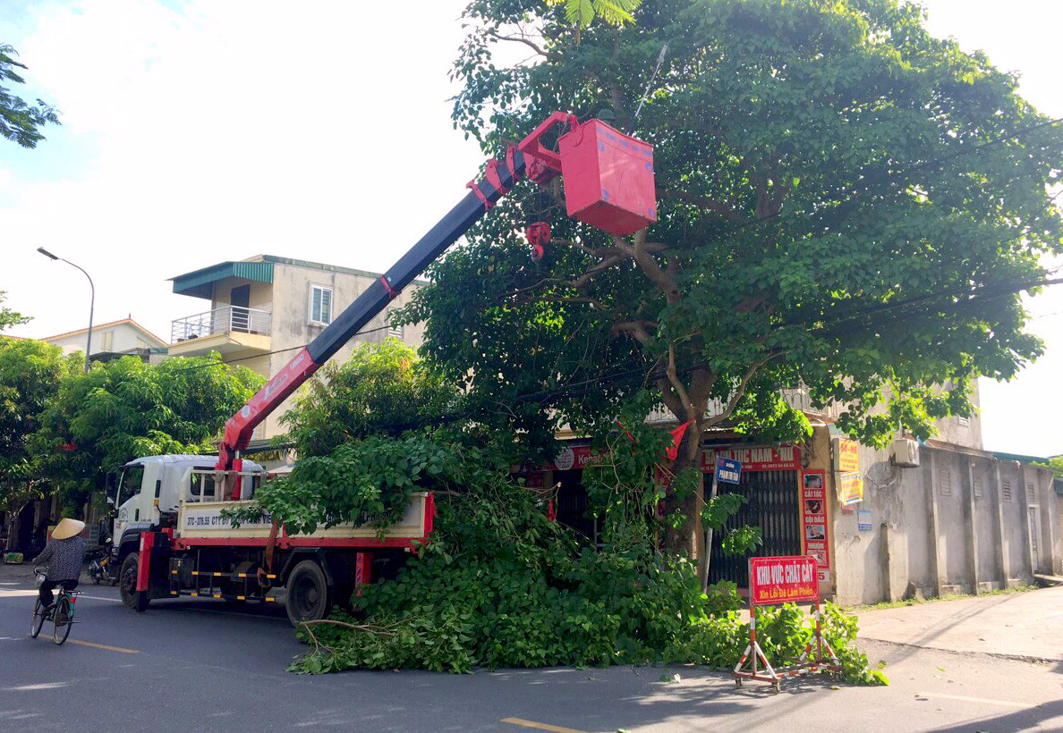 Lực lượng chức năng TP.Vinh cát tỉa cây xanh trên các tuyến đường trong ngày 11/6. Ảnh: Quang An