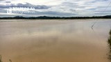 Nghệ An: Hàng trăm ha lúa hè thu ngập nước do mưa lớn kéo dài