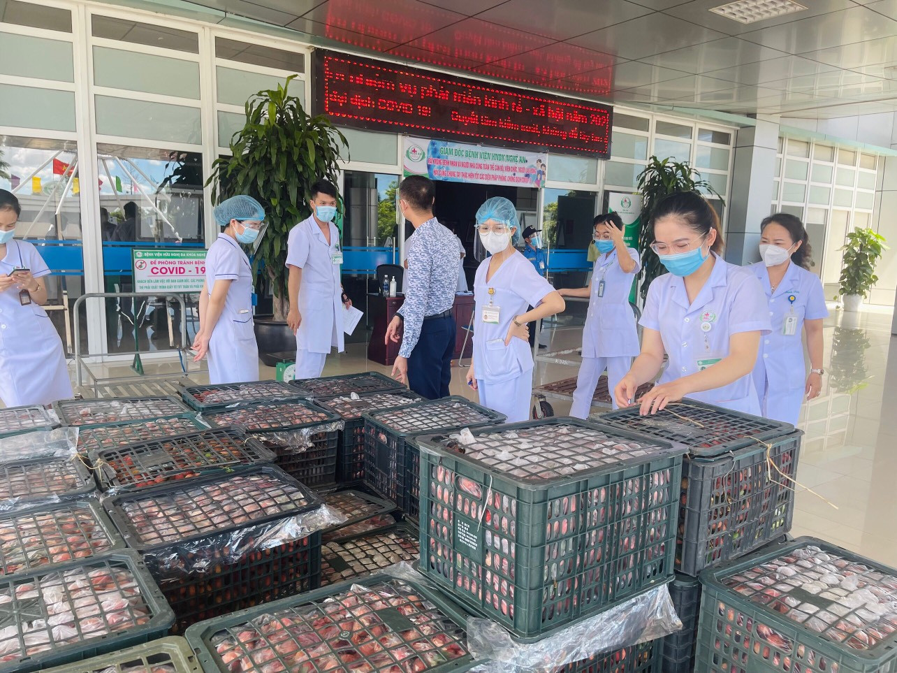 Cán bộ viên chức nhân viên Bệnh viện HNĐK Nghệ An hỗ trợ người dân Bắc Giang giải cứu vải thiều. Ảnh: Thành Chung