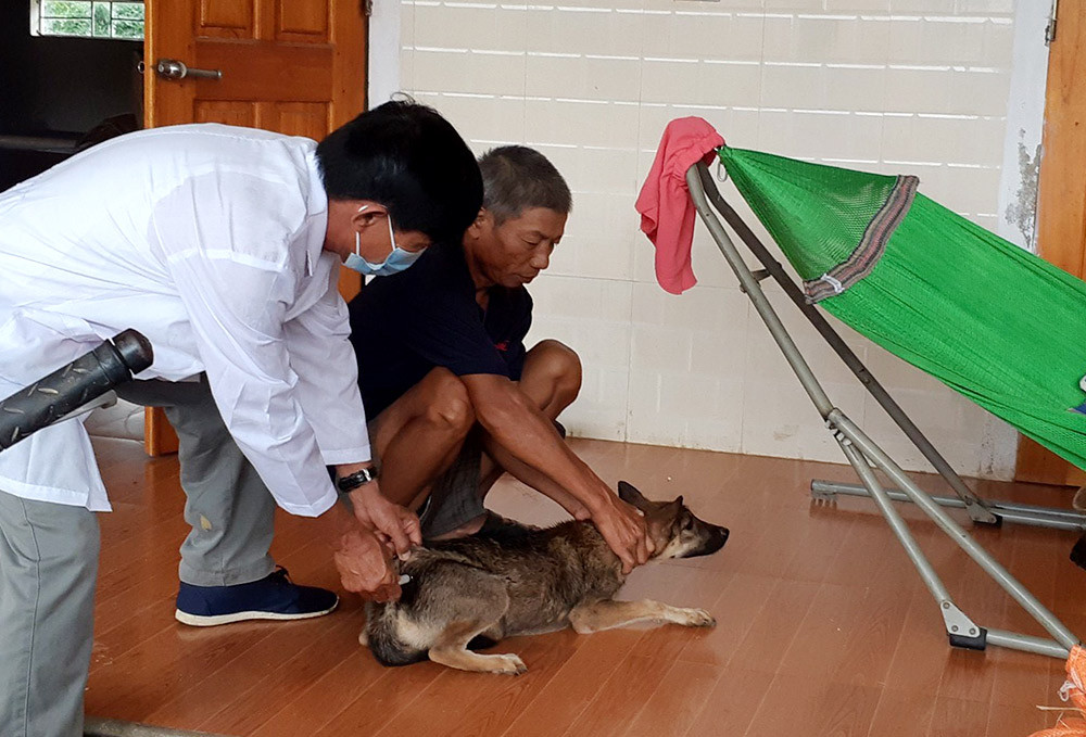 Cán bộ thú y huyện Đô Lương tiêm phòng vắc-xin cho đàn chó nhà của người dân. Ảnh: Phú hương